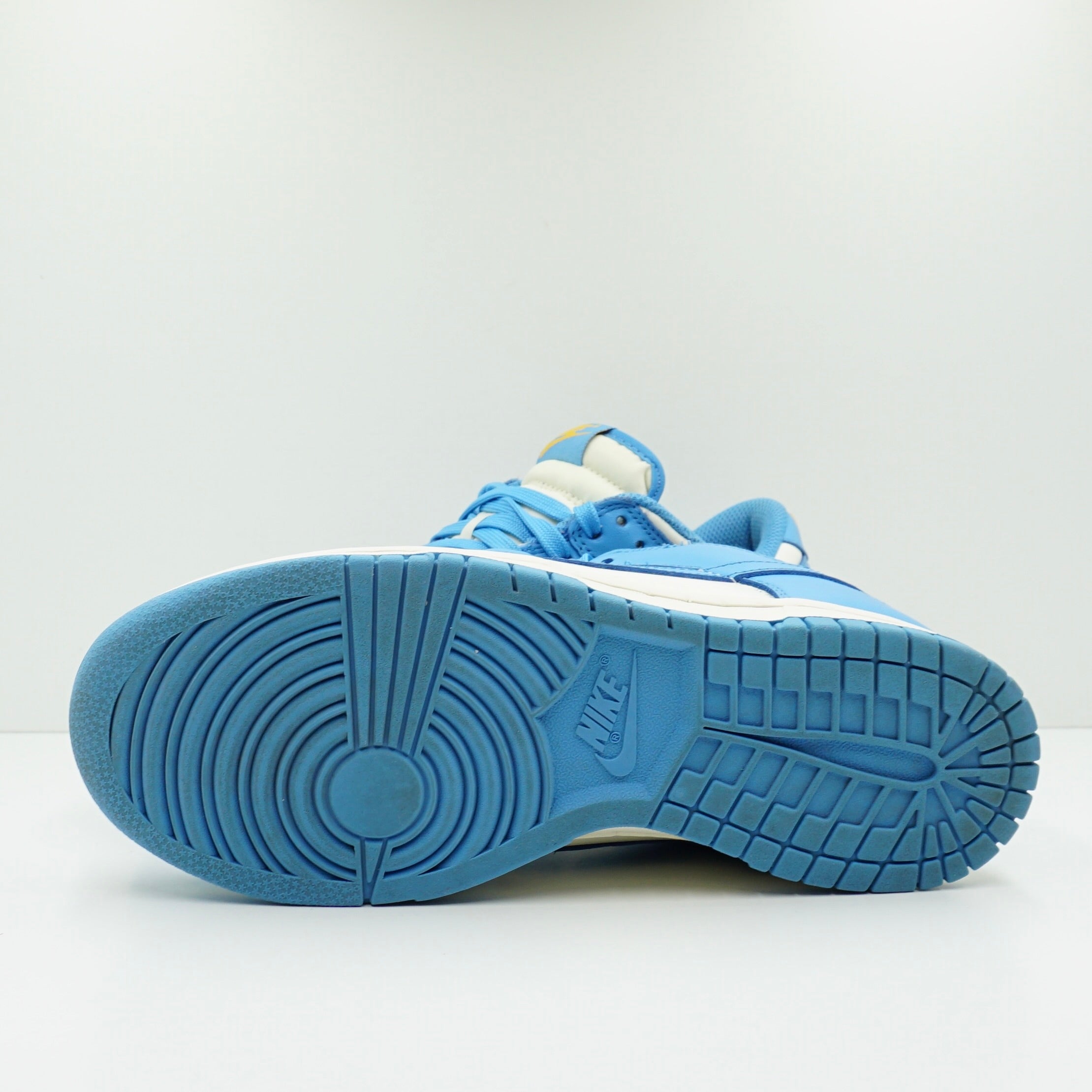 Nike Dunk Low Coast (W)