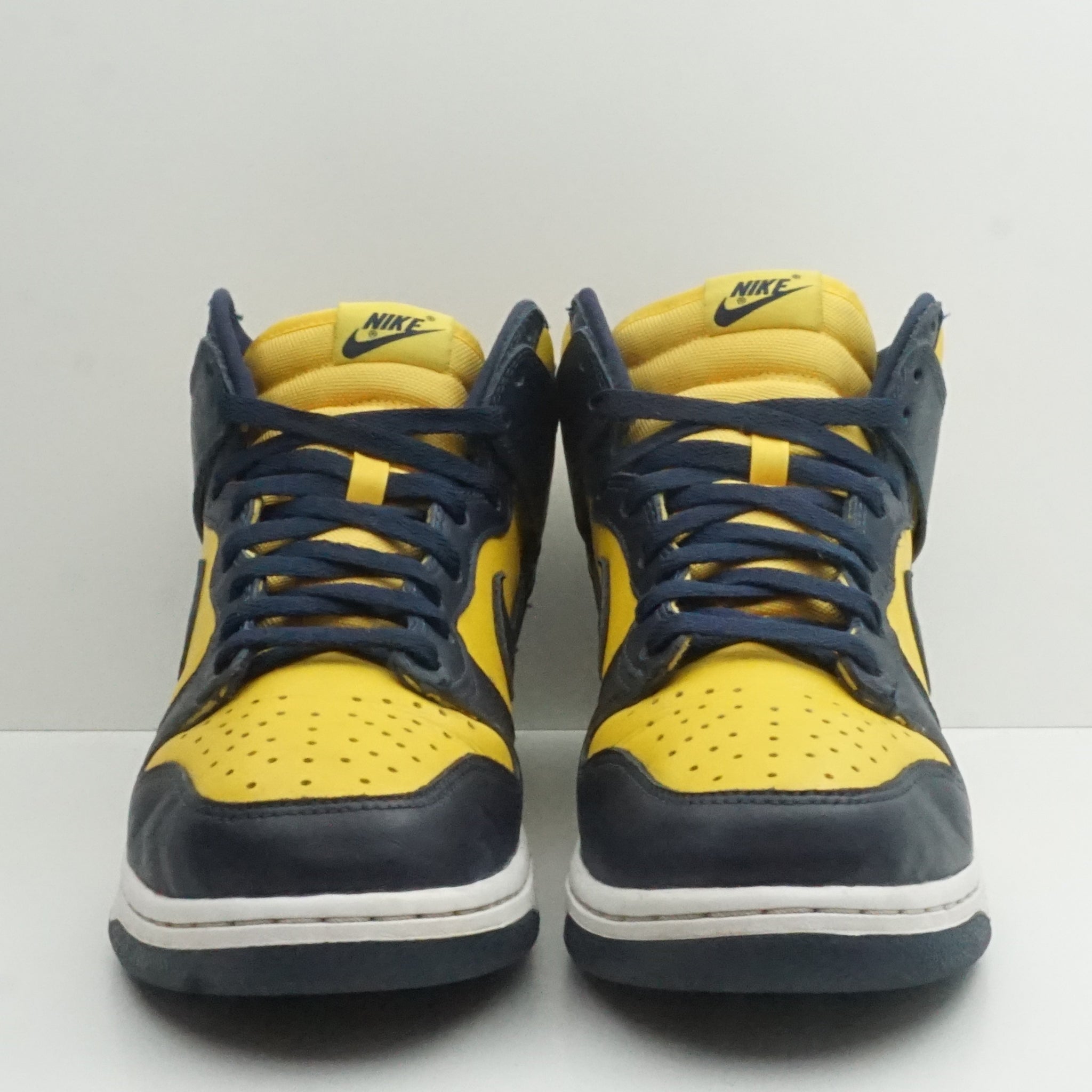 Nike Dunk High Michigan (2020)