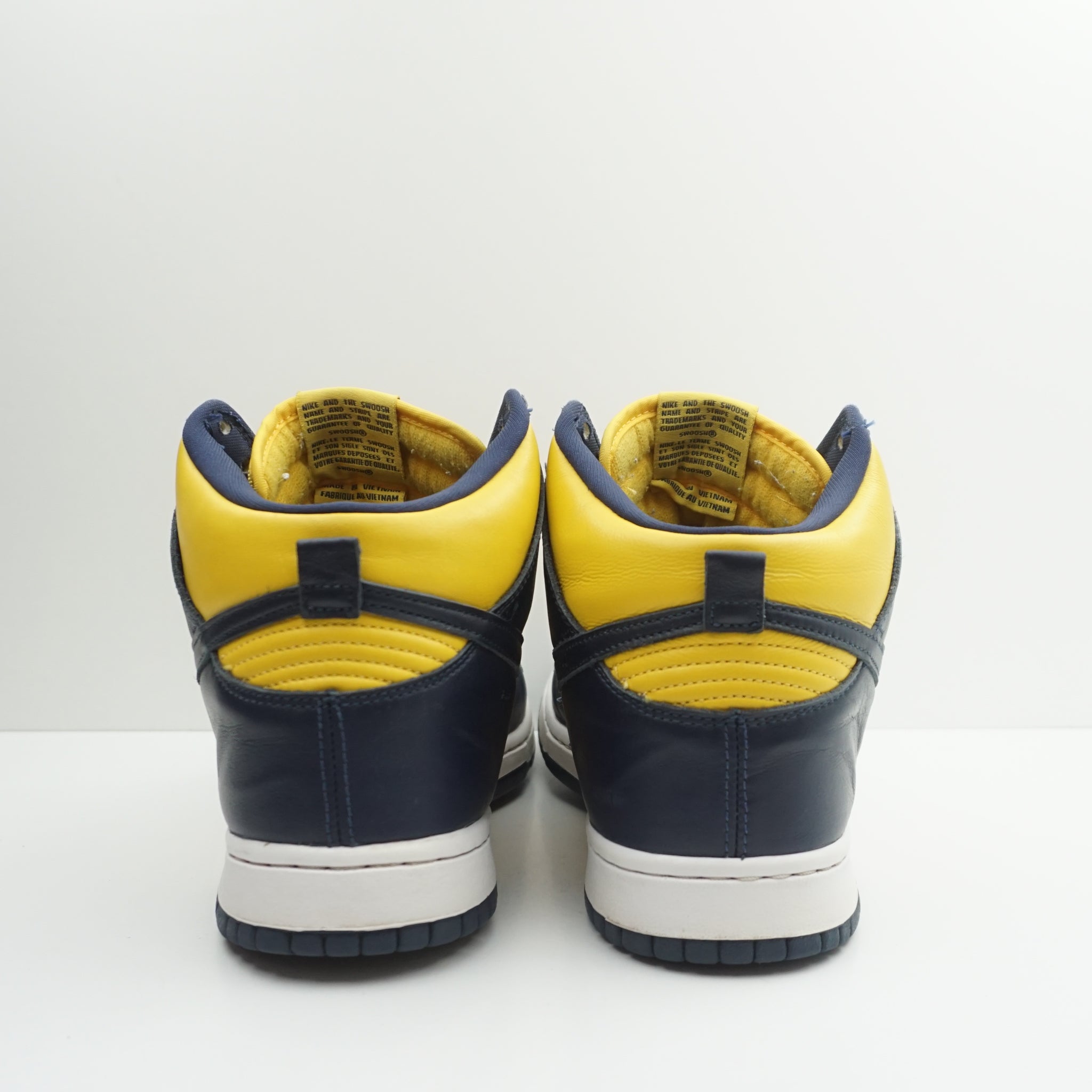 Nike Dunk High Michigan (2020)