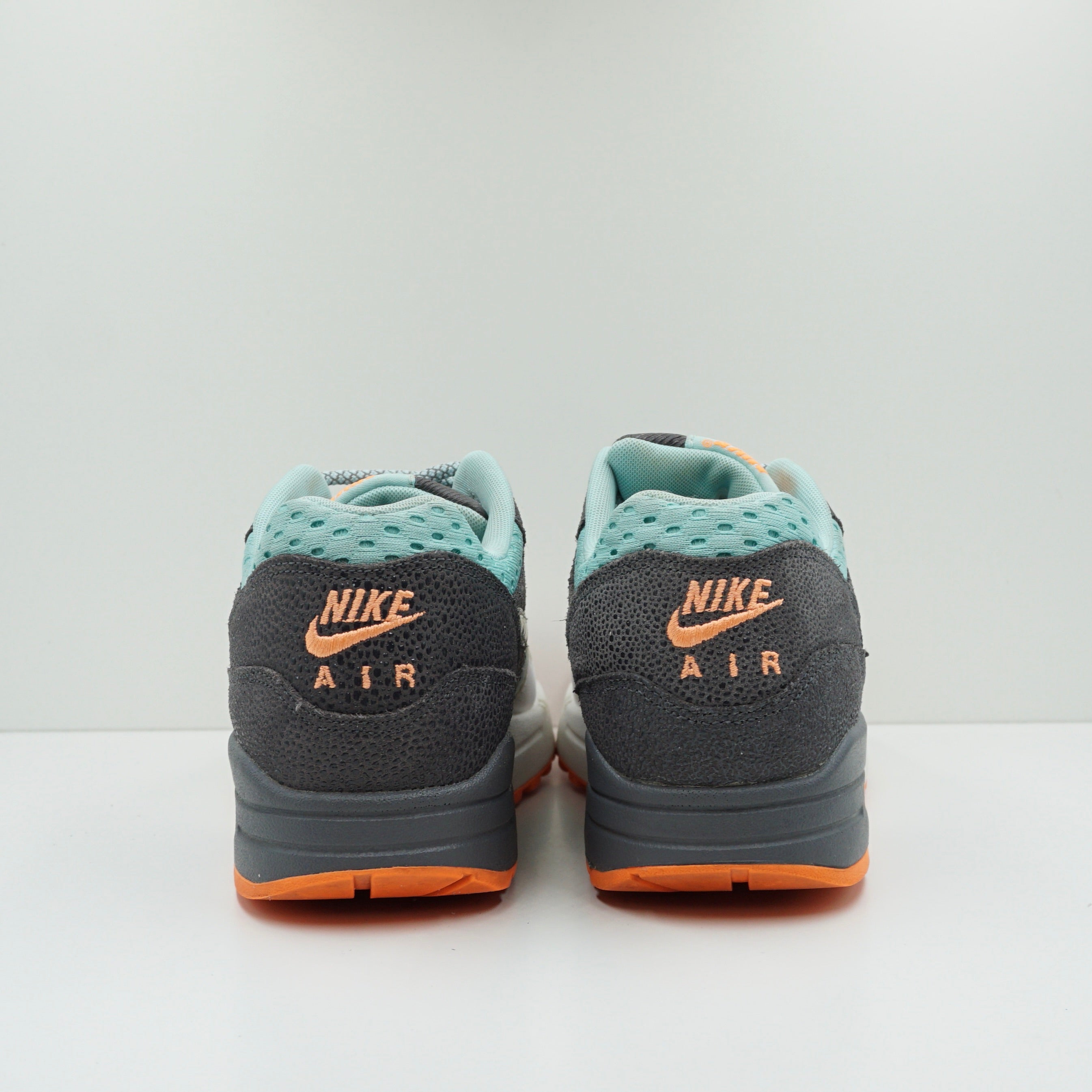 Nike Air Max 1 Premium Glacier Ice (W) (2014)