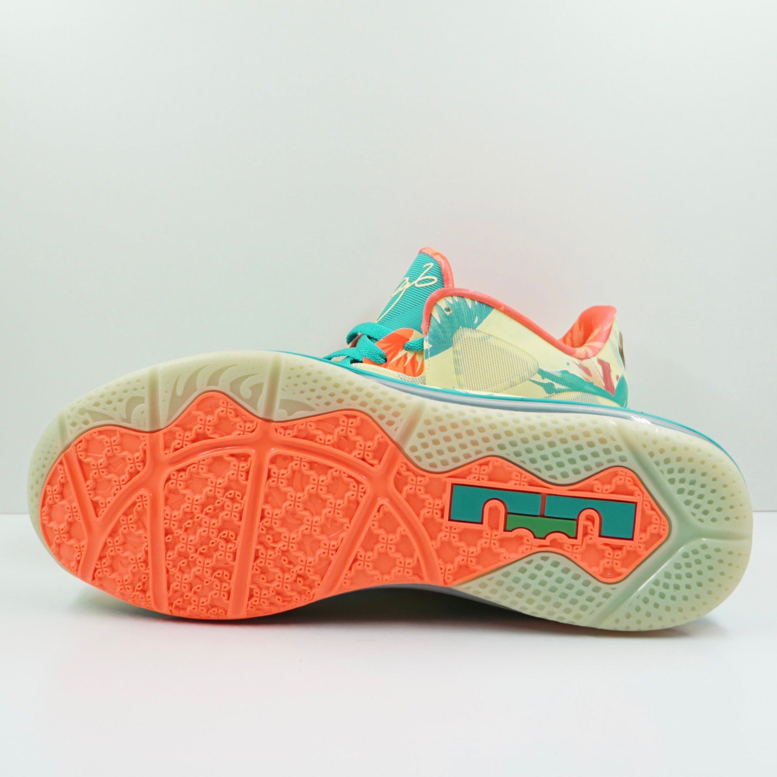 Nike LeBron 9 Low LeBronald Palmer (2022)