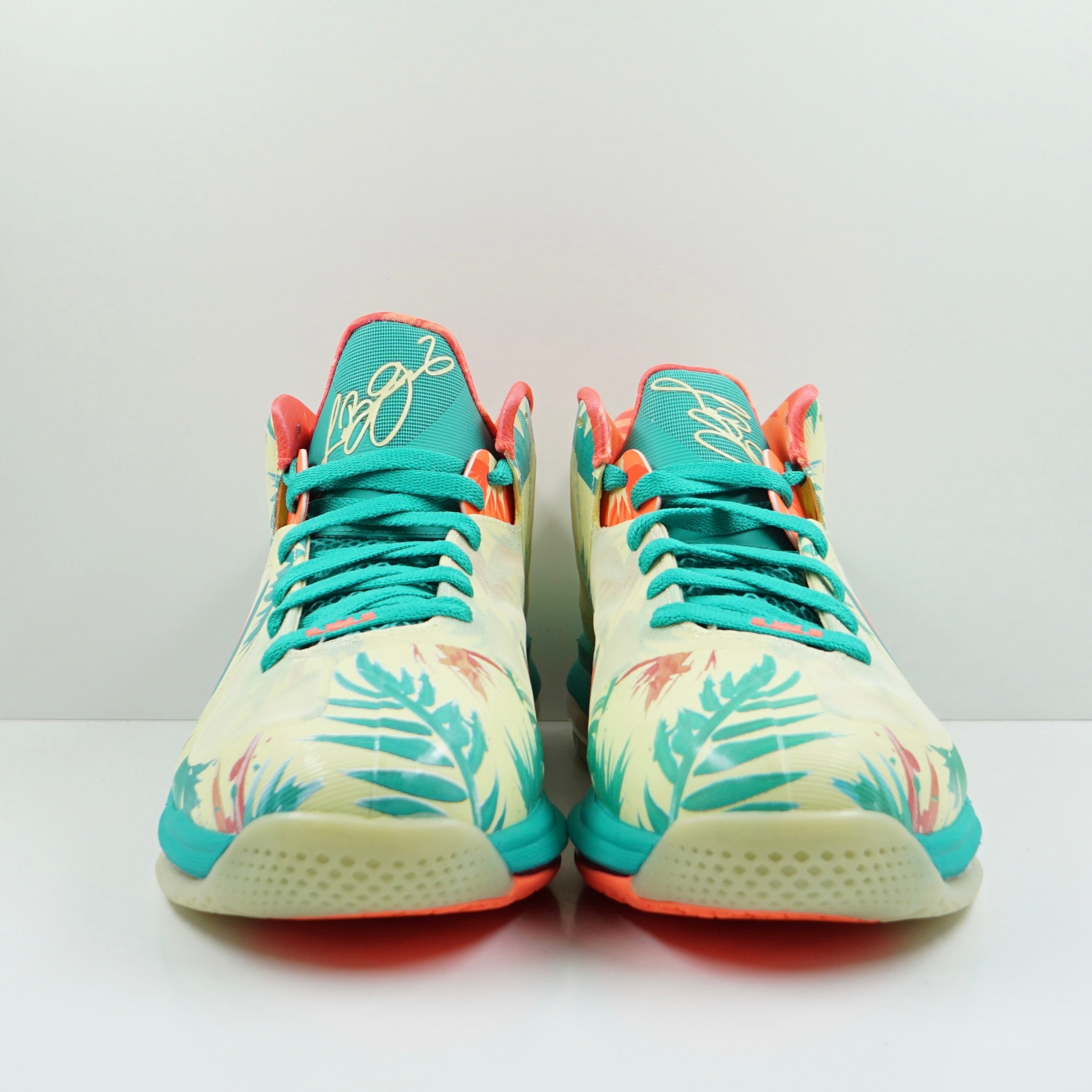 Nike LeBron 9 Low LeBronald Palmer (2022)