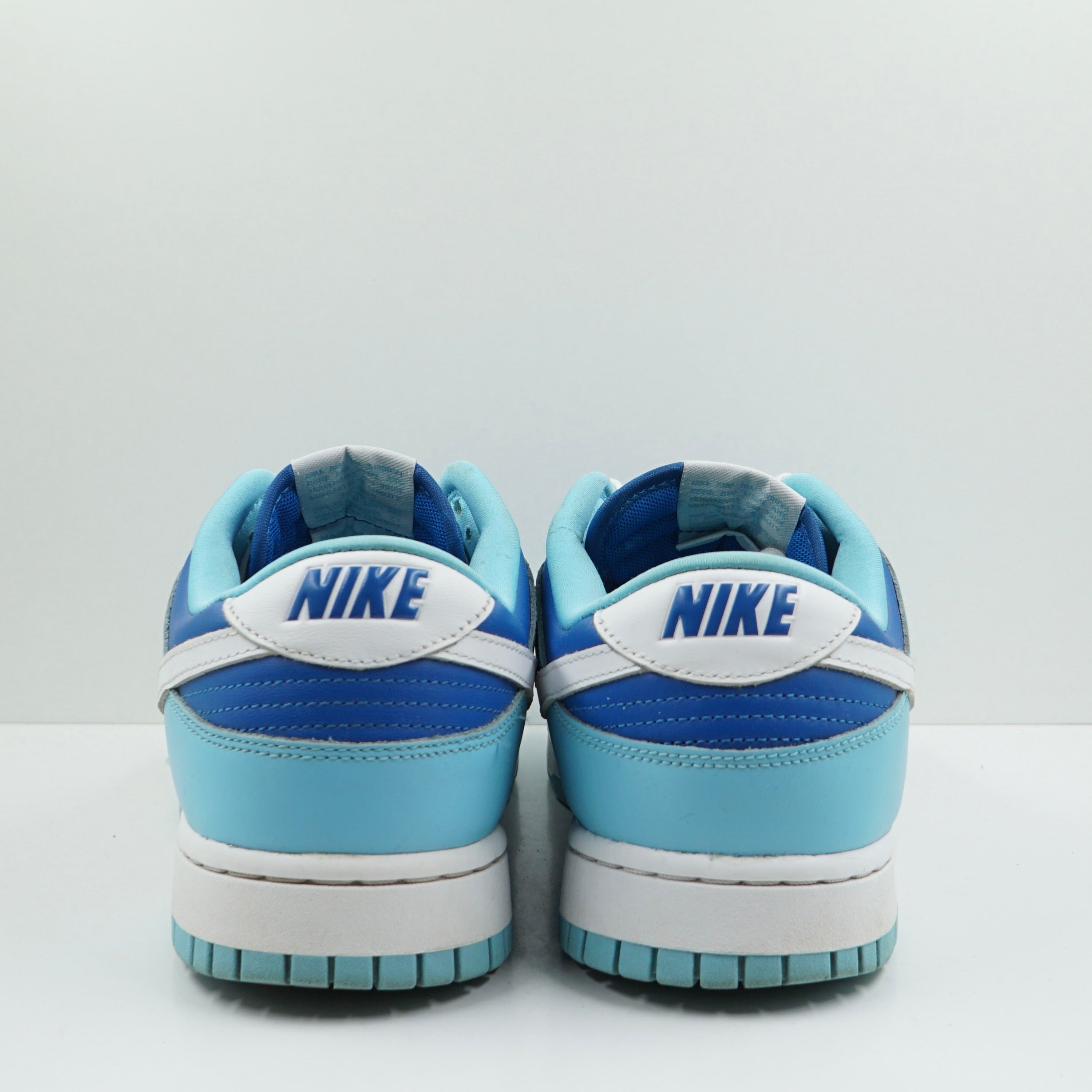 Nike Dunk Low Retro QS Argon (2022)