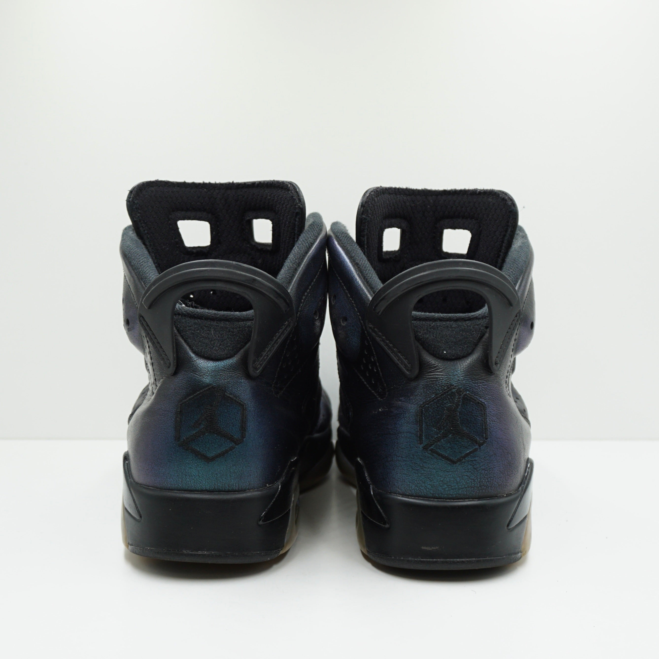 Jordan 6 Retro All Star Chameleon (2017)