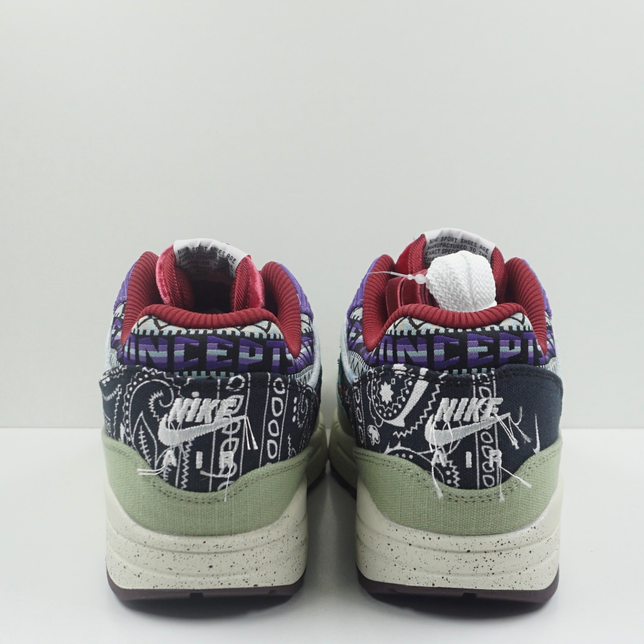 Nike Air Max 1 SP Concepts Mellow