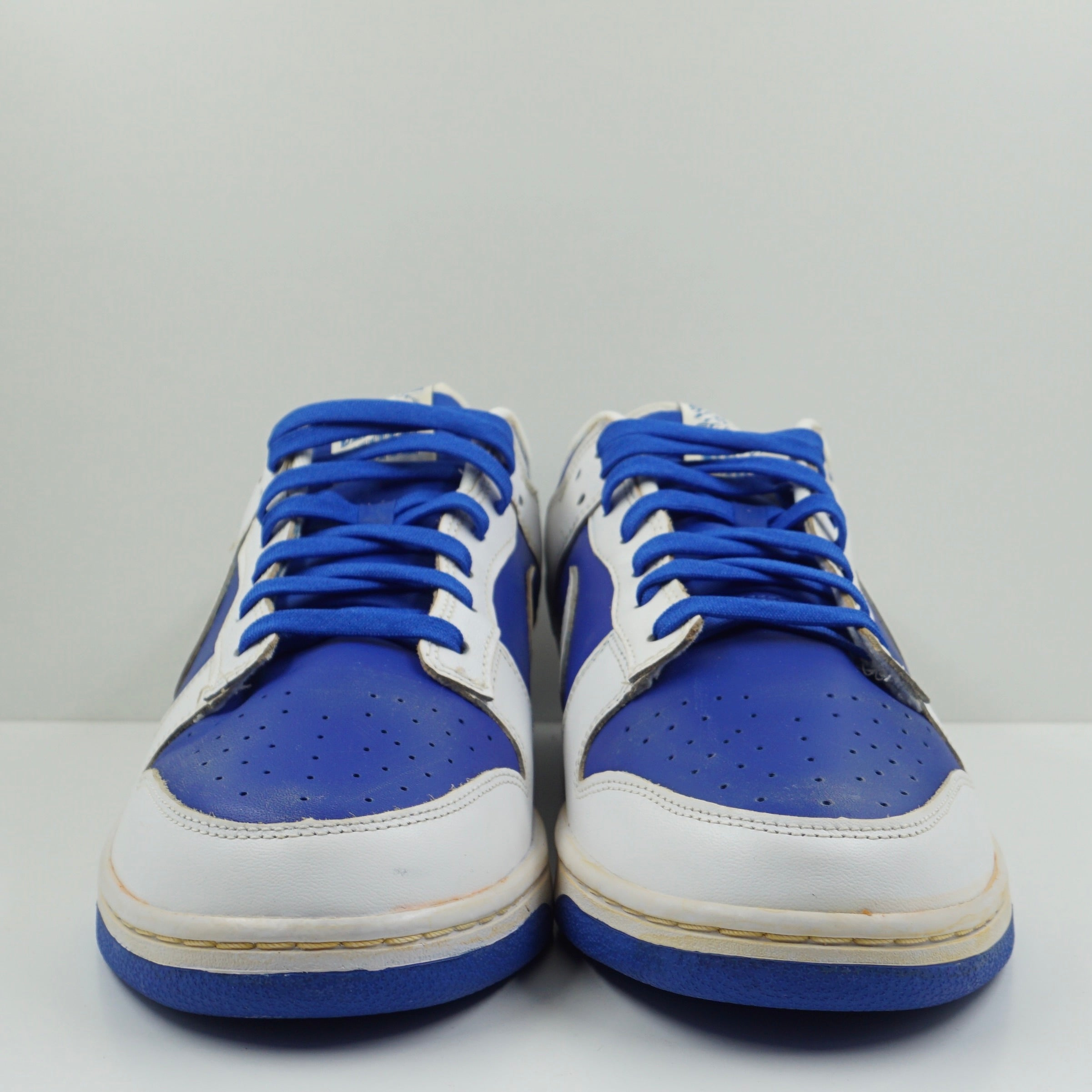 Nike Dunk Low Racer Blue White "CATS" Custom Painted