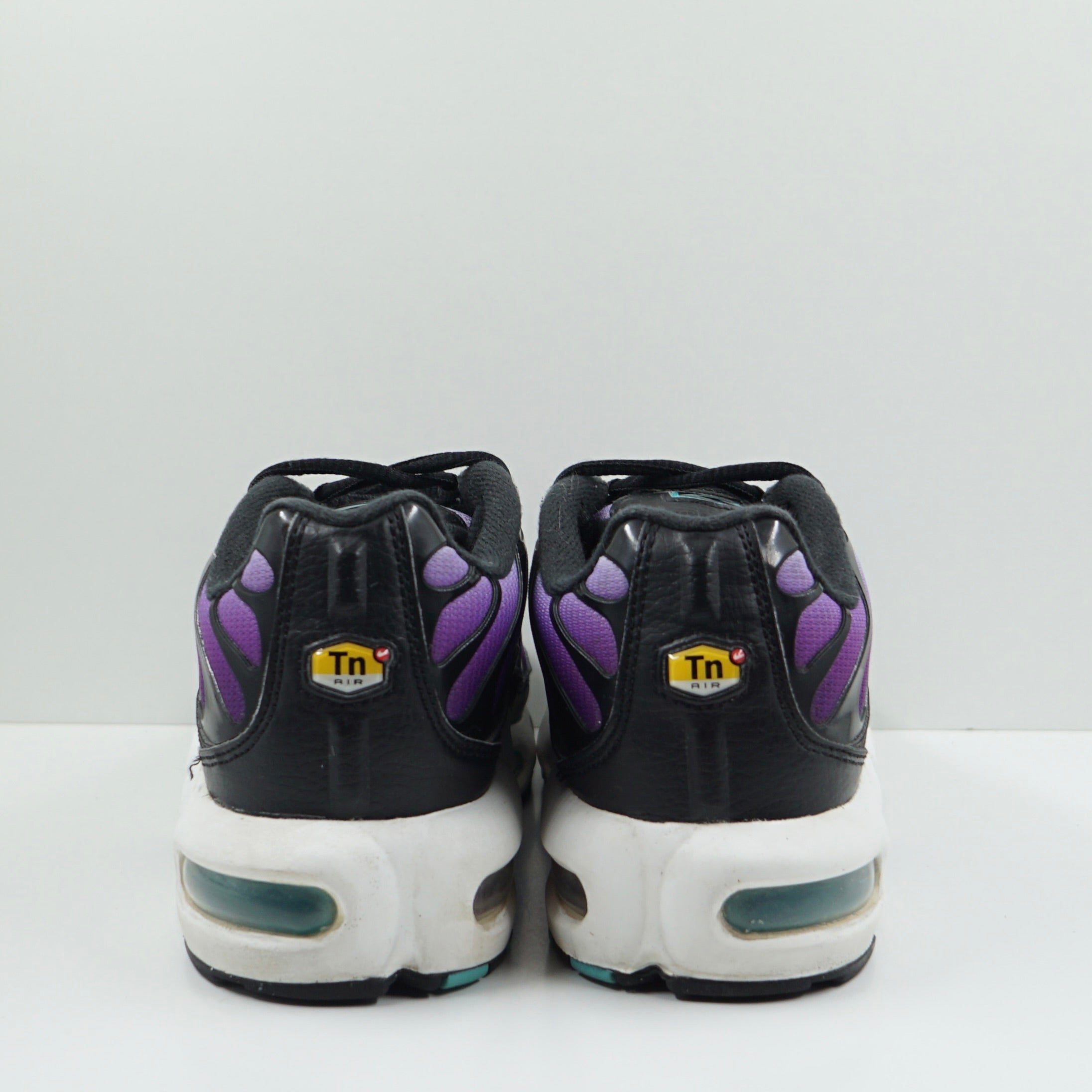 Nike Air Max Plus Reverse Grape (GS)