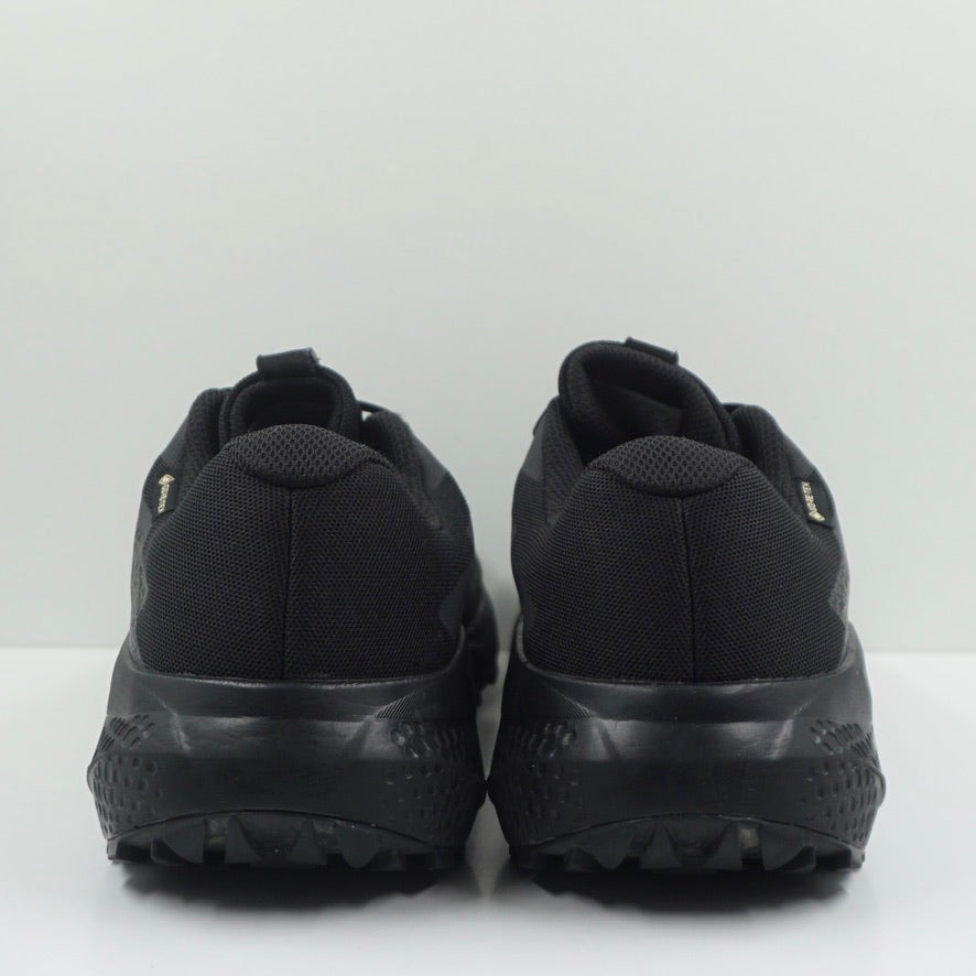 Salomon Alphaglide GTX Black