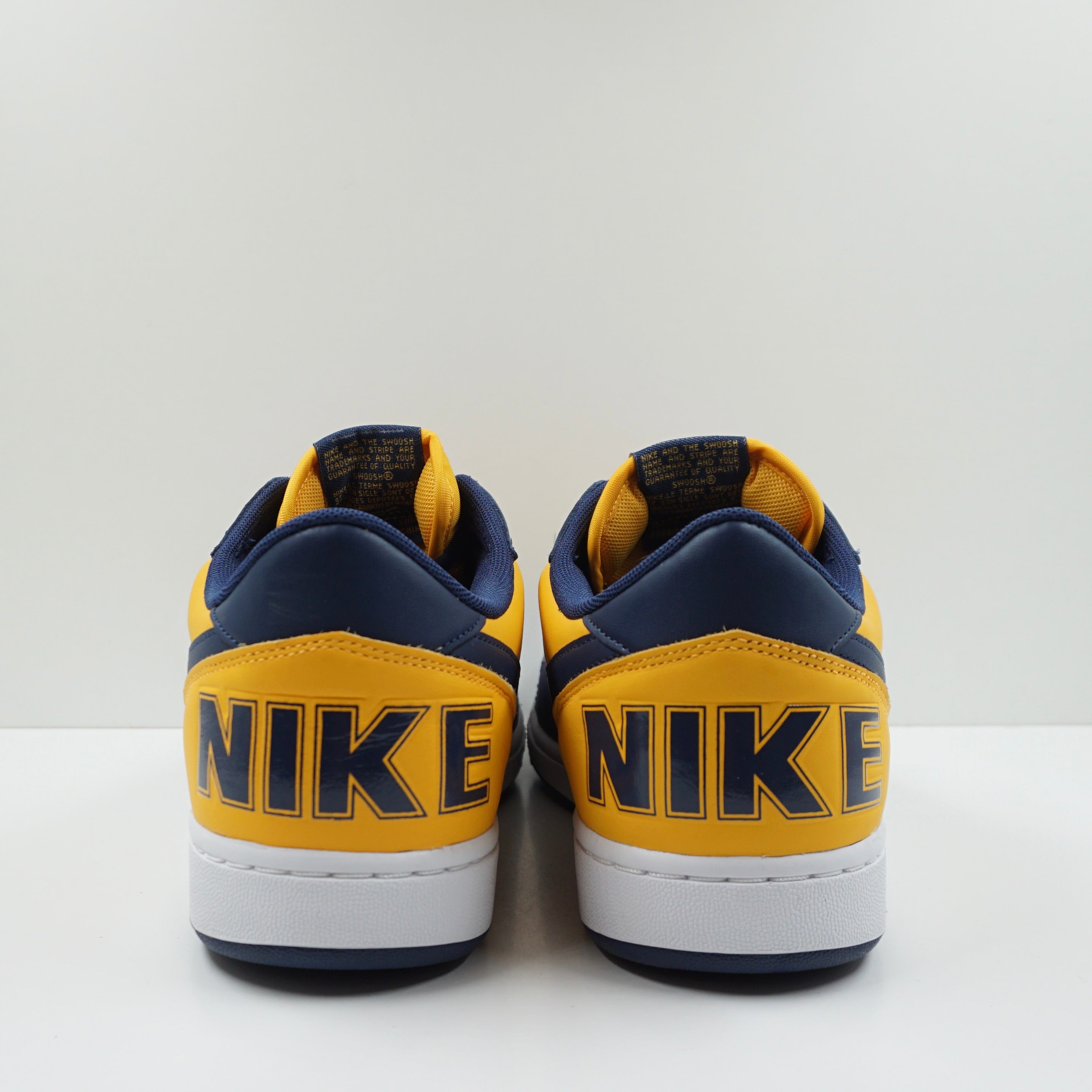 Nike Terminator Low Michigan