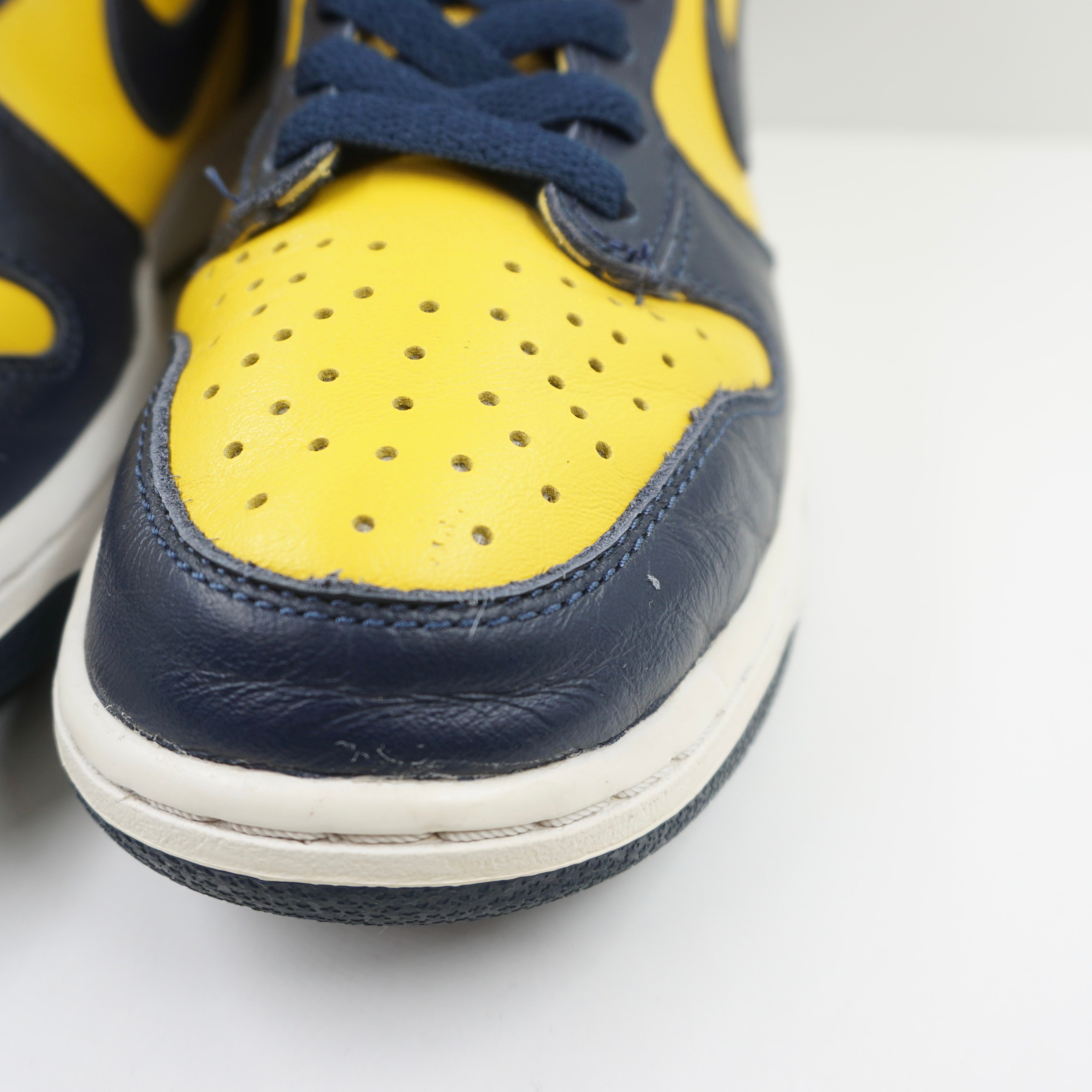 Nike Dunk High Michigan (2020)