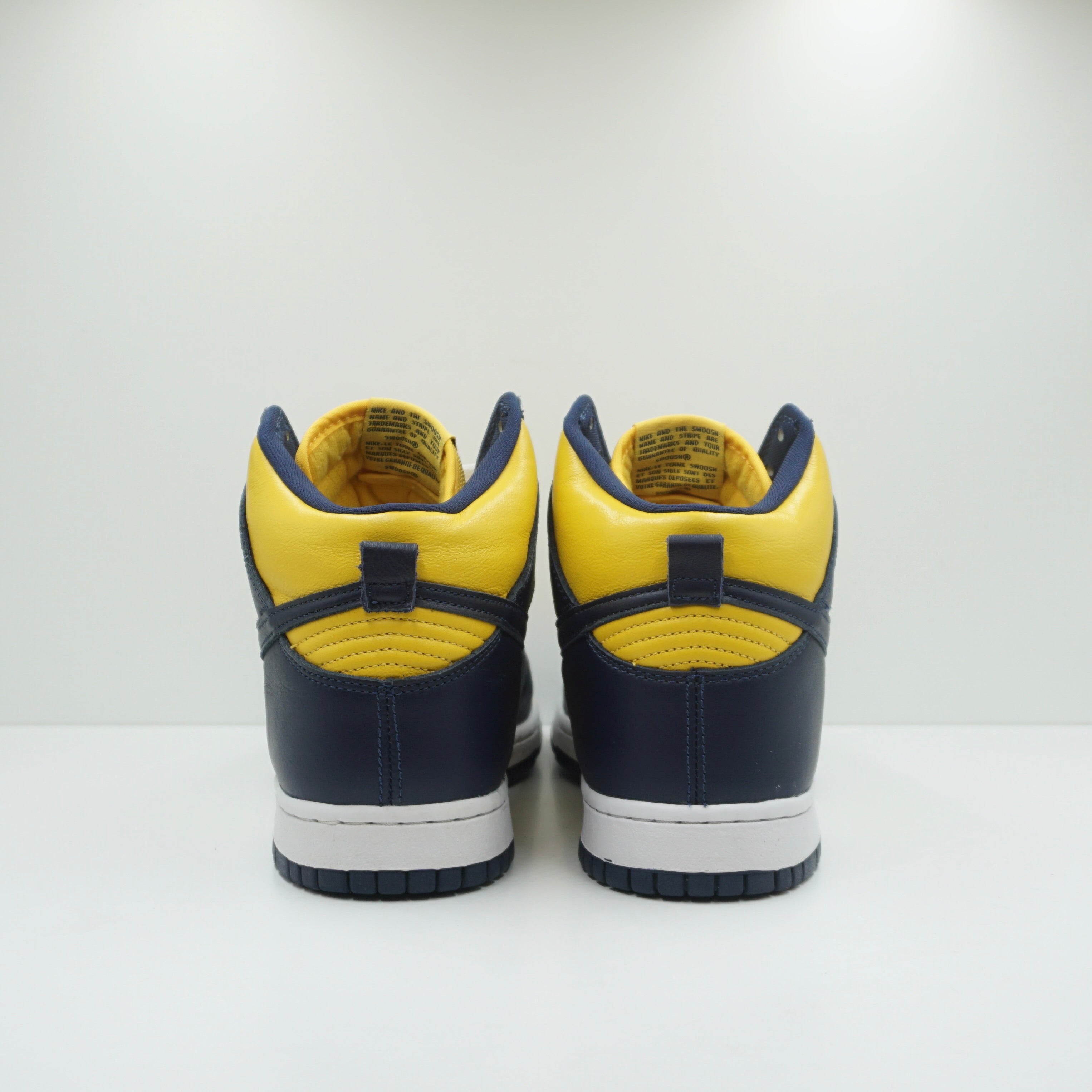 Nike Dunk High Michigan (2020)