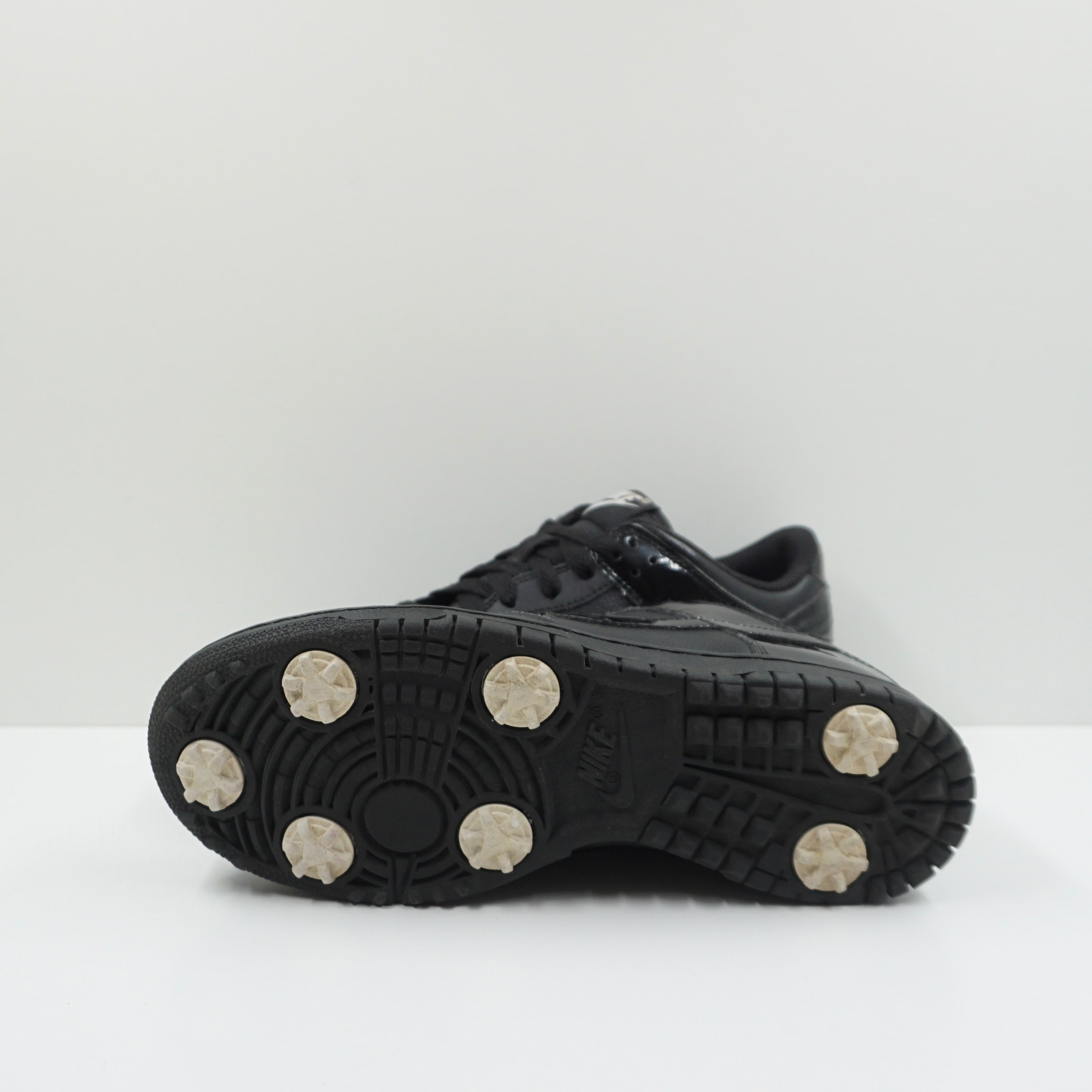 Nike Dunk NG Golf (GS)