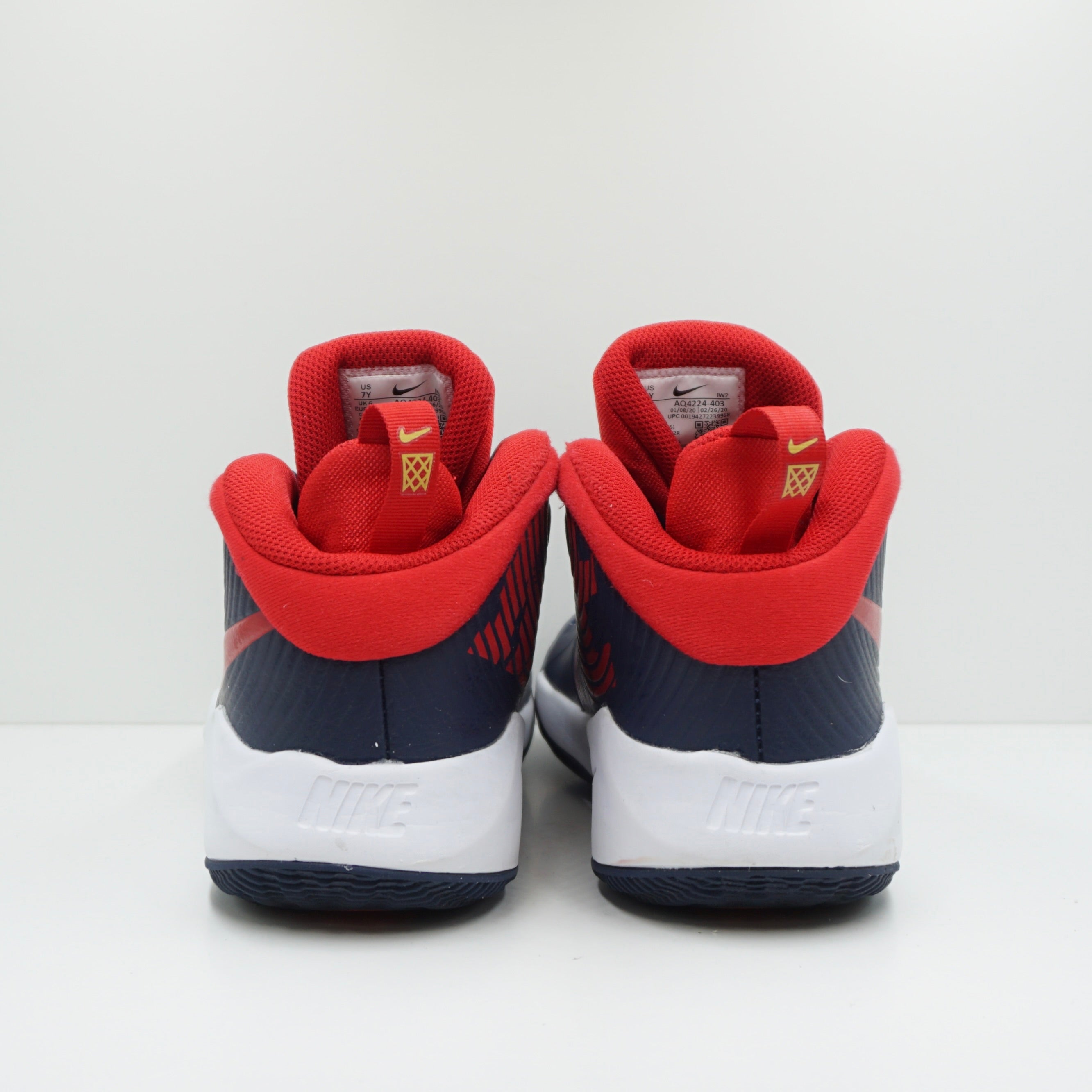 Nike Team Hustle D 9 (GS)