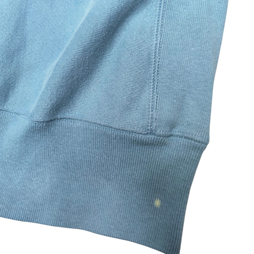 Champion Reverse Weave Blue Green Crewneck