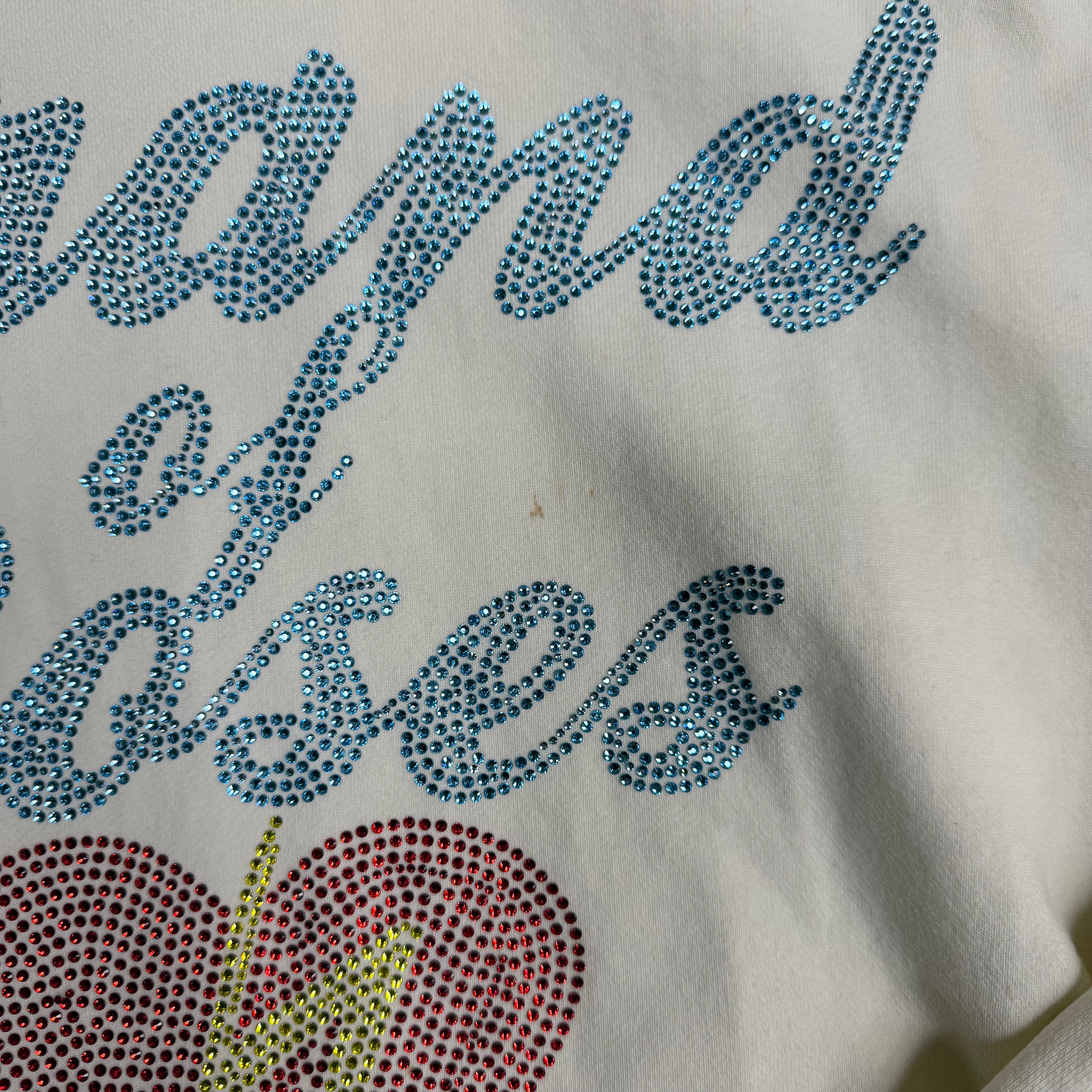 Brand of Roses Rhinestone Sail Hoodie