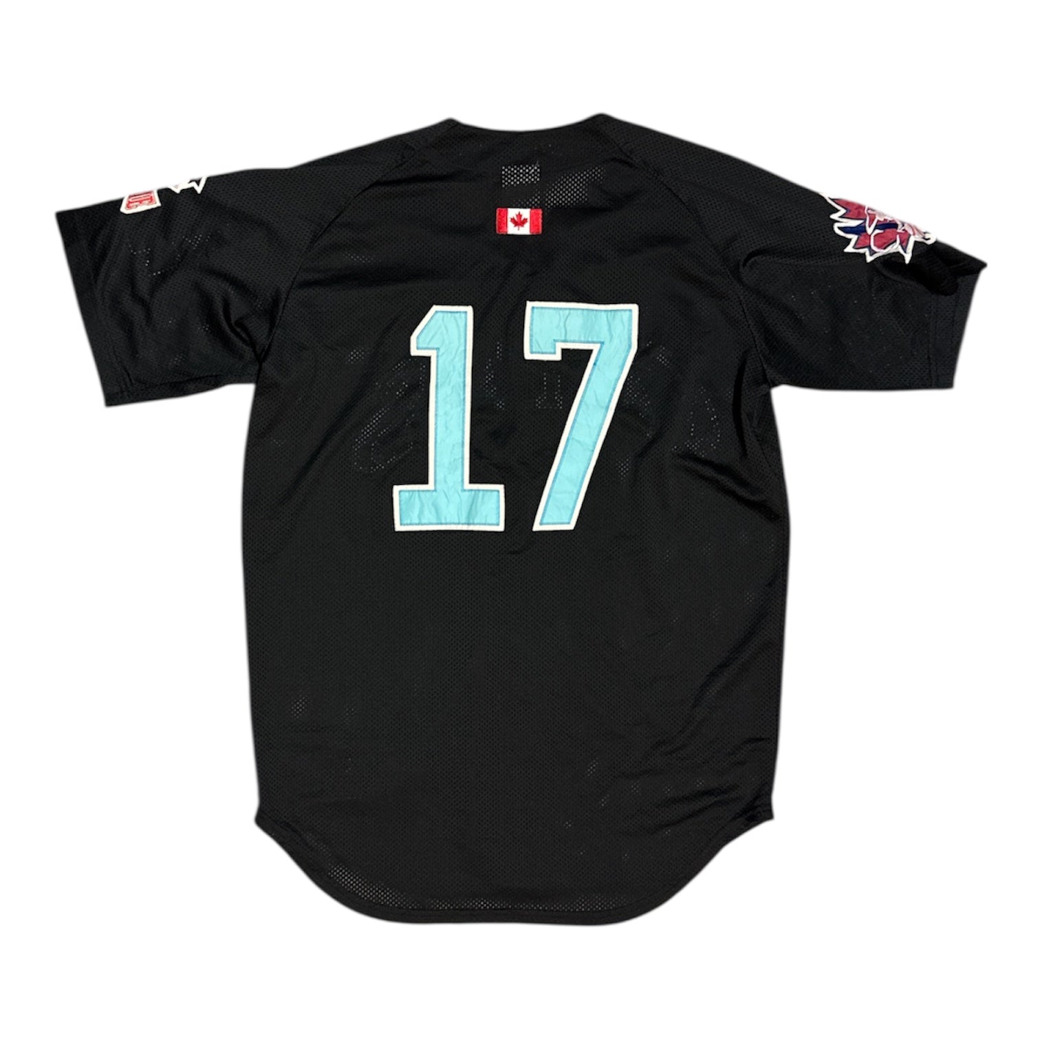 Vintage Calgary Capitals 2003 CBL #17 Black Baseball Jersey