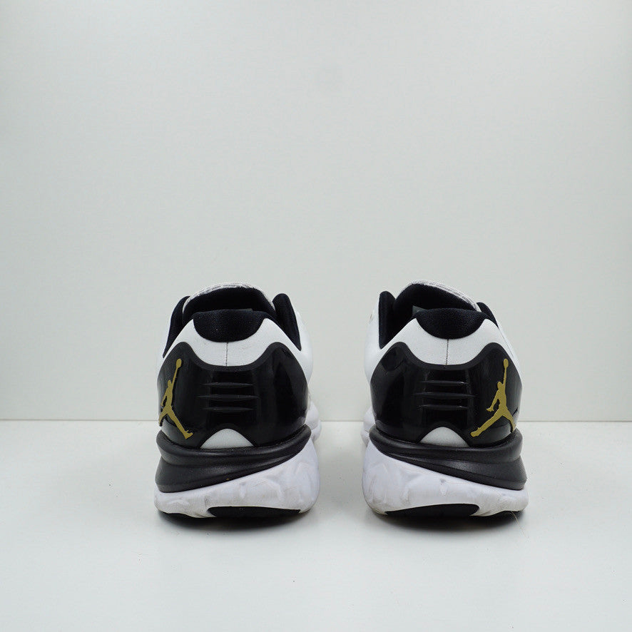 Jordan Trainer ST Premium White Gold