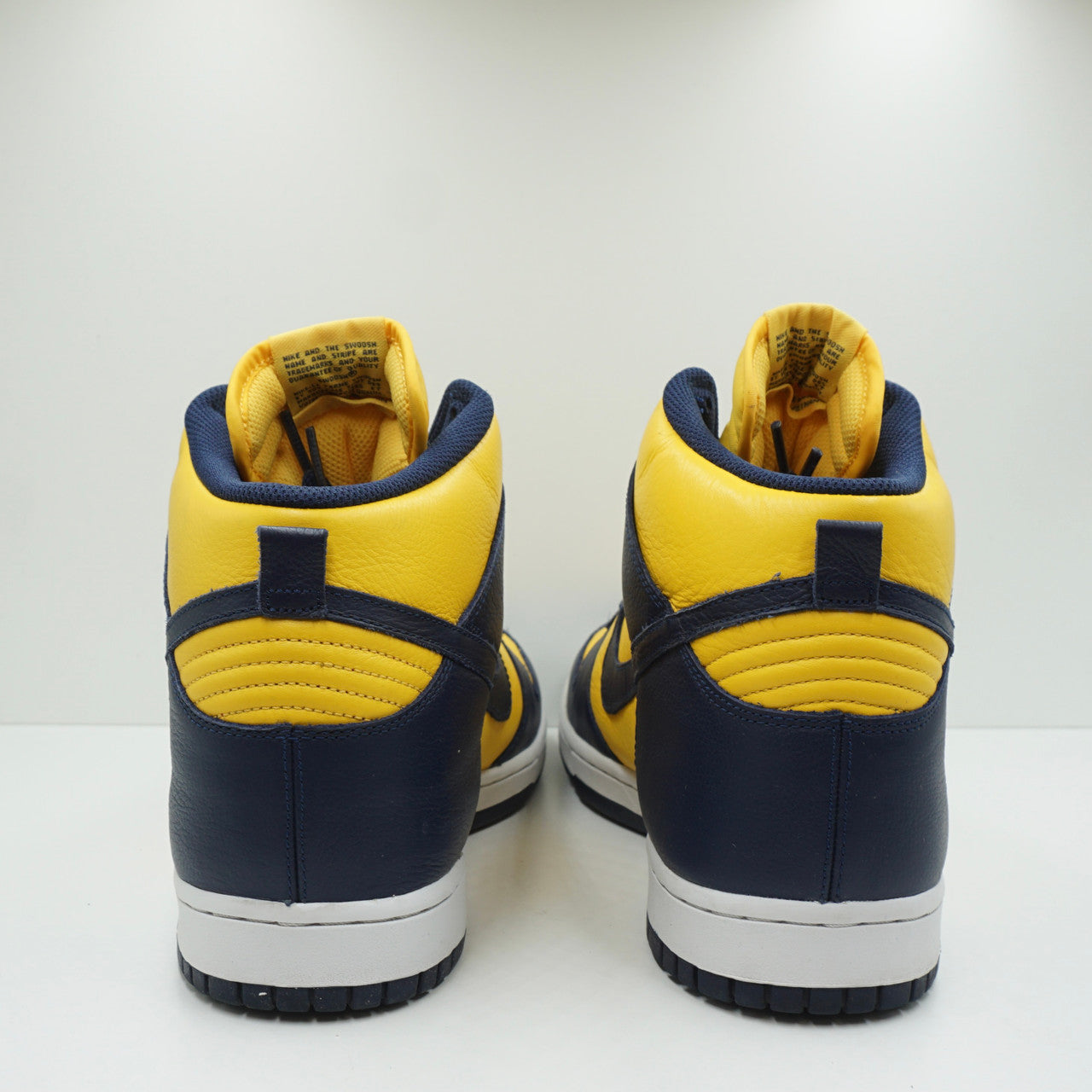 Nike Dunk High Michigan (2016)