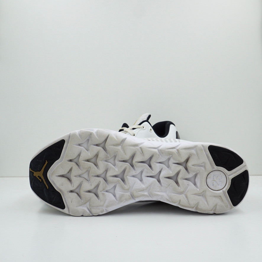 Jordan Trainer ST Premium White Gold