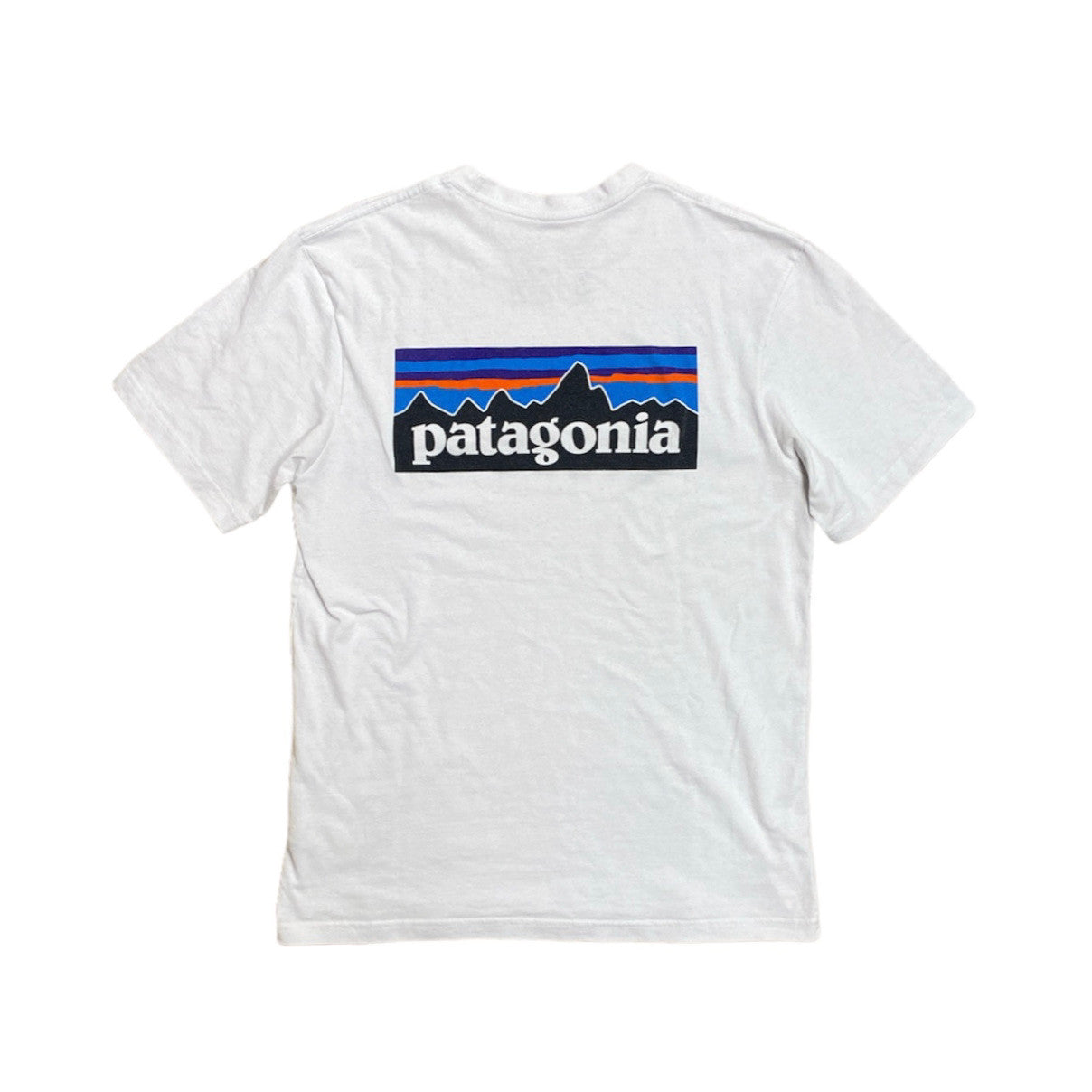 Patagonia P-6 Tshirt
