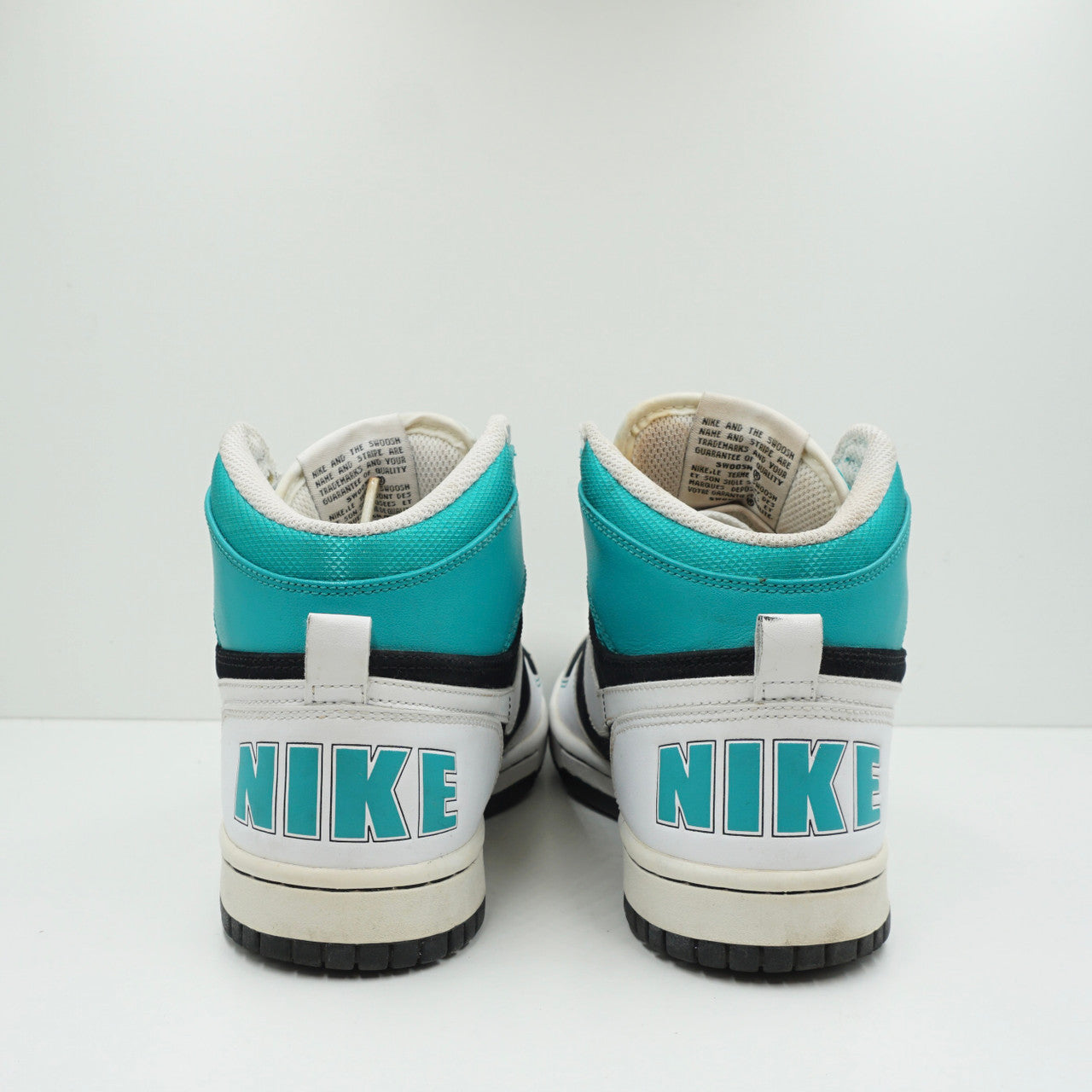 Nike Dunk Sky White/Teal (W)