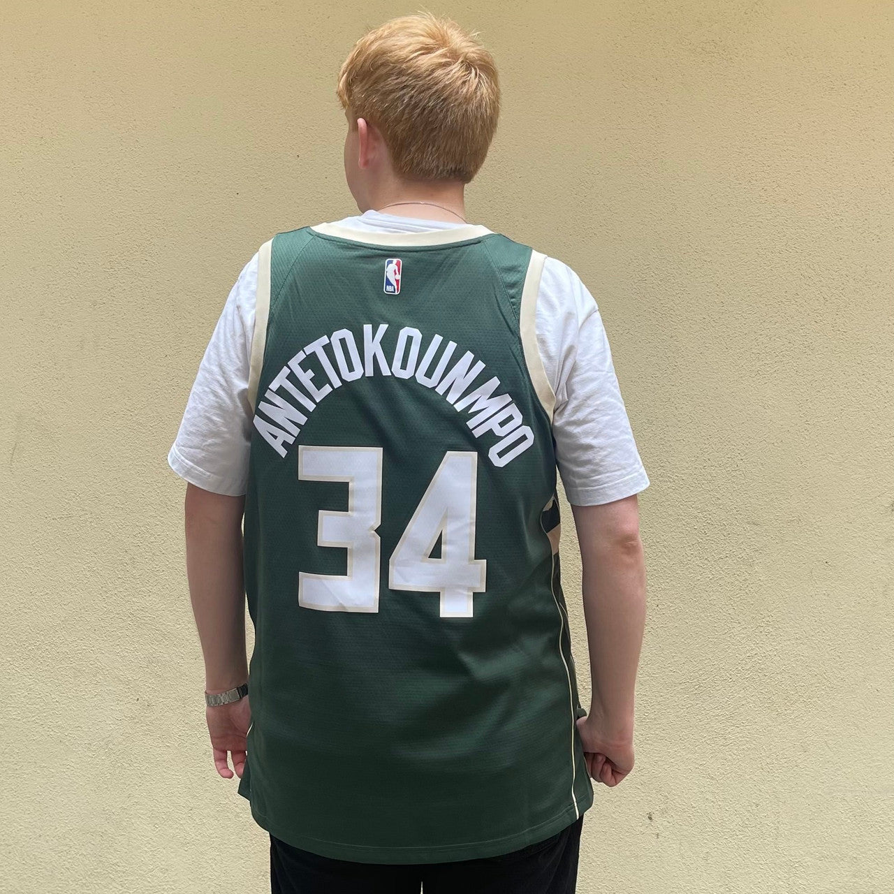 Nike Milwaukee Bucks Icon Swingman Giannis Antetokounmpo Jersey