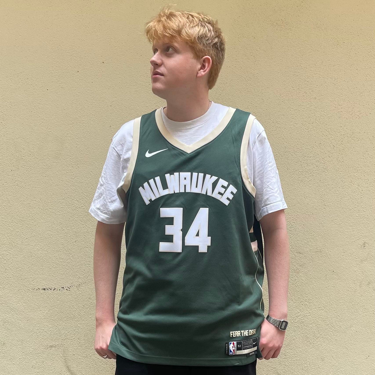 Nike Milwaukee Bucks Icon Swingman Giannis Antetokounmpo Jersey