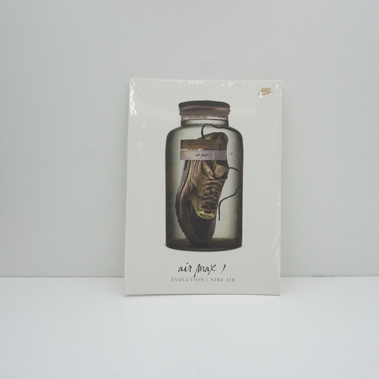 Nike Air Max 180 Evolution Pack (2005)