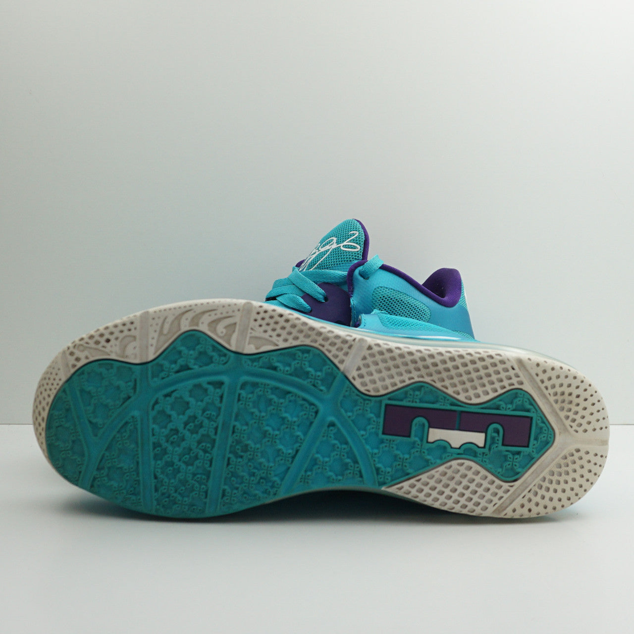 Nike Lebron 9 Low Summit Lake Hornets
