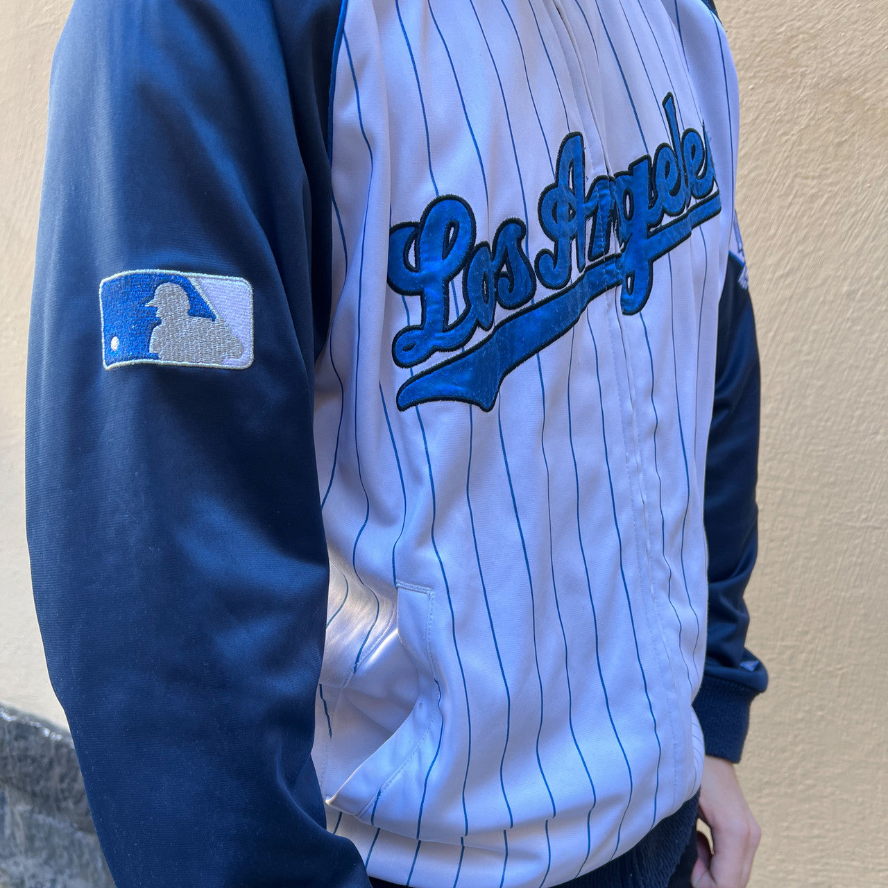 Los Angeles Zip Vintage