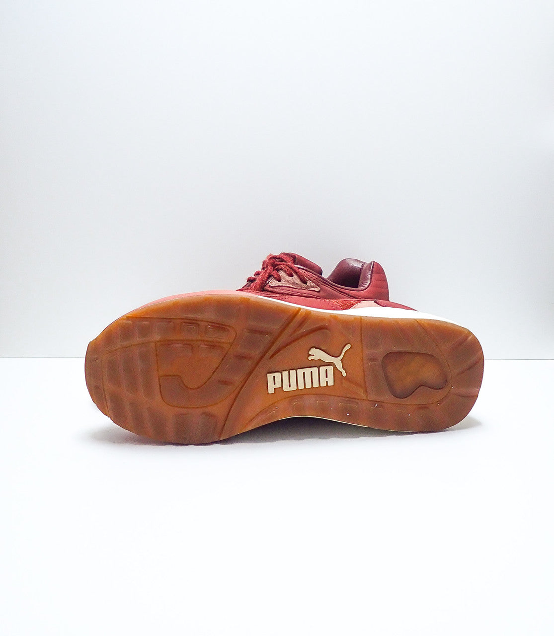 Puma XS-850 x BWGH