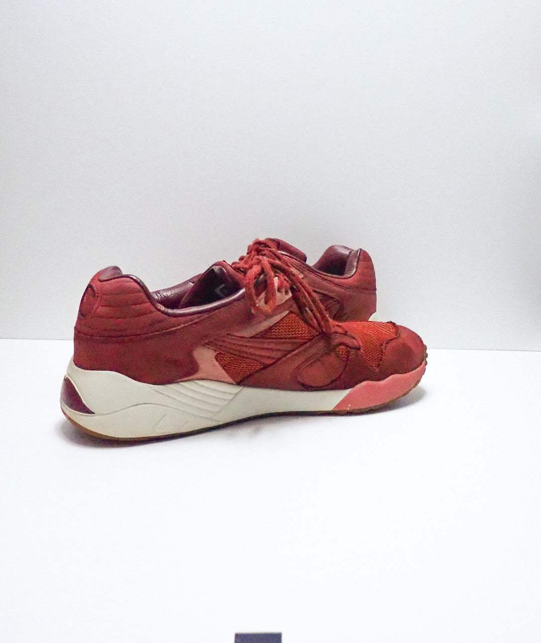 Puma XS-850 x BWGH