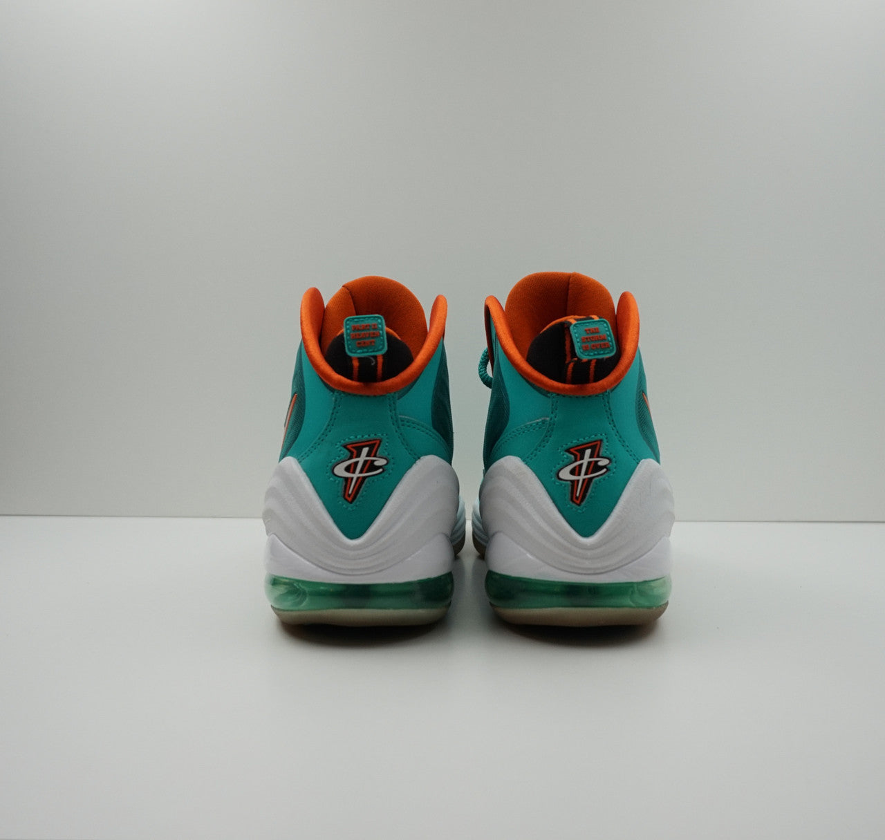 Nike Penny V Miami Dolphins