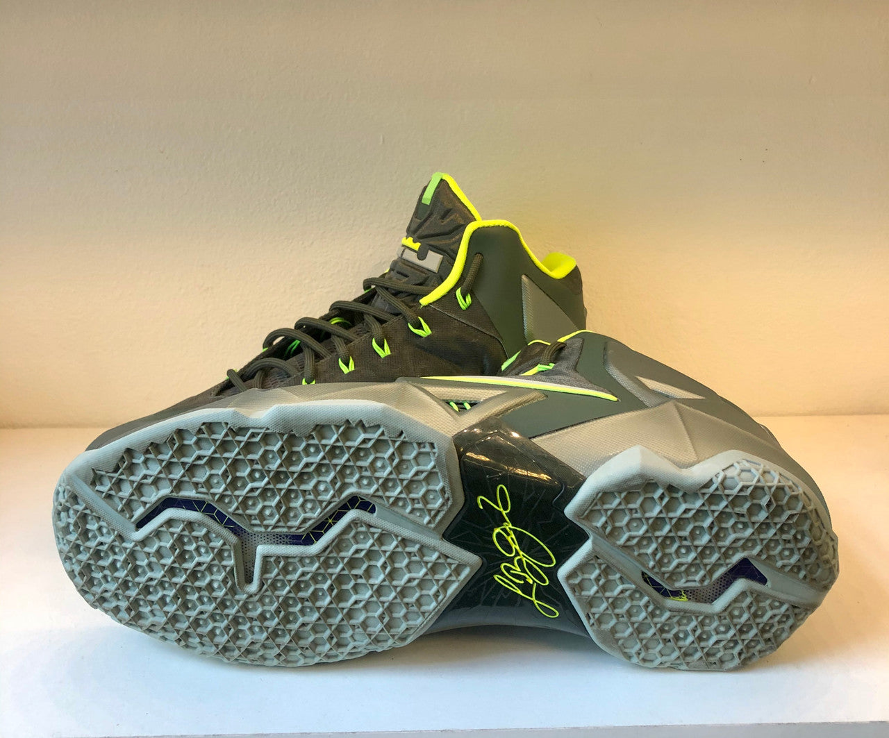Nike LeBron 11 Dunkman