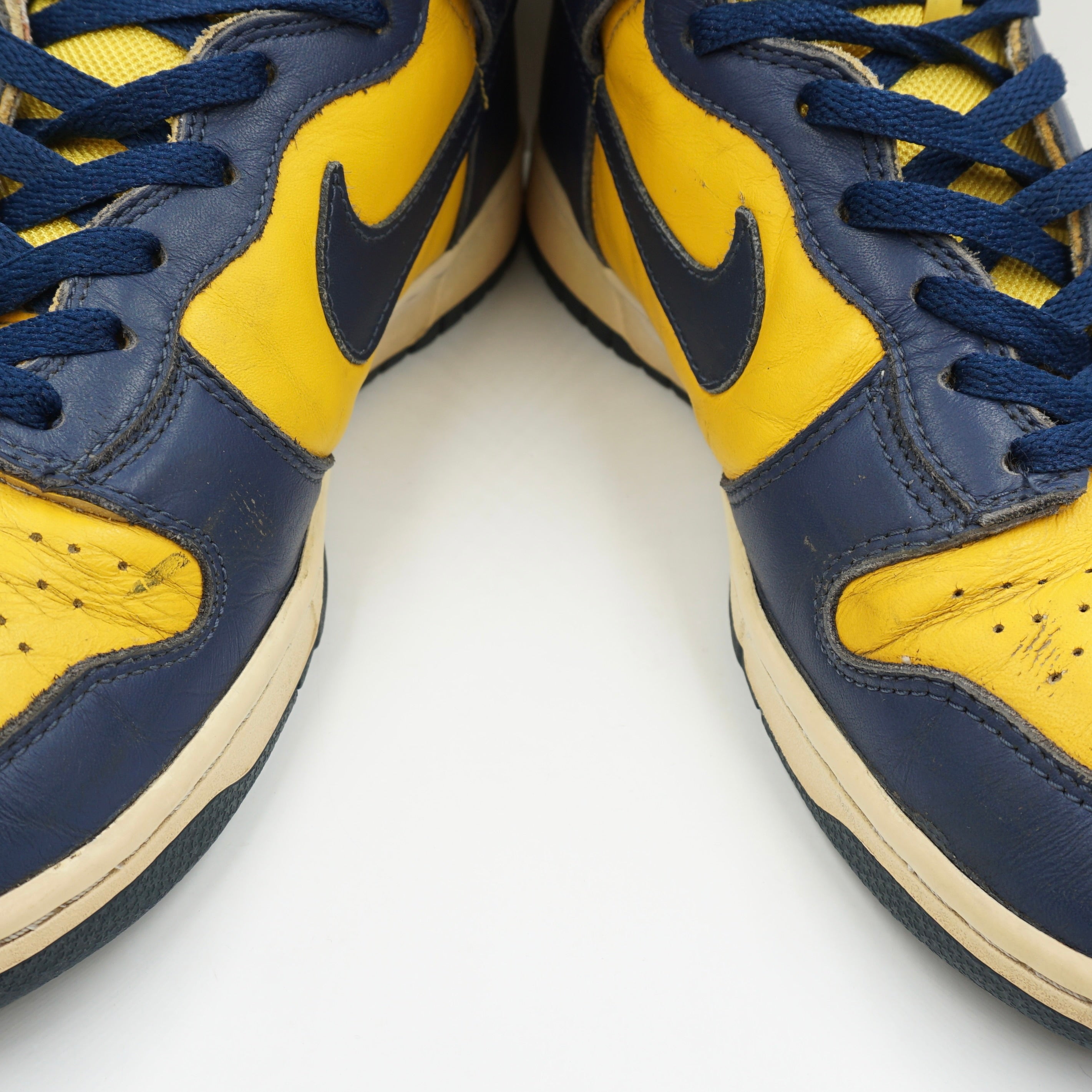 Nike Dunk High Michigan (2003)