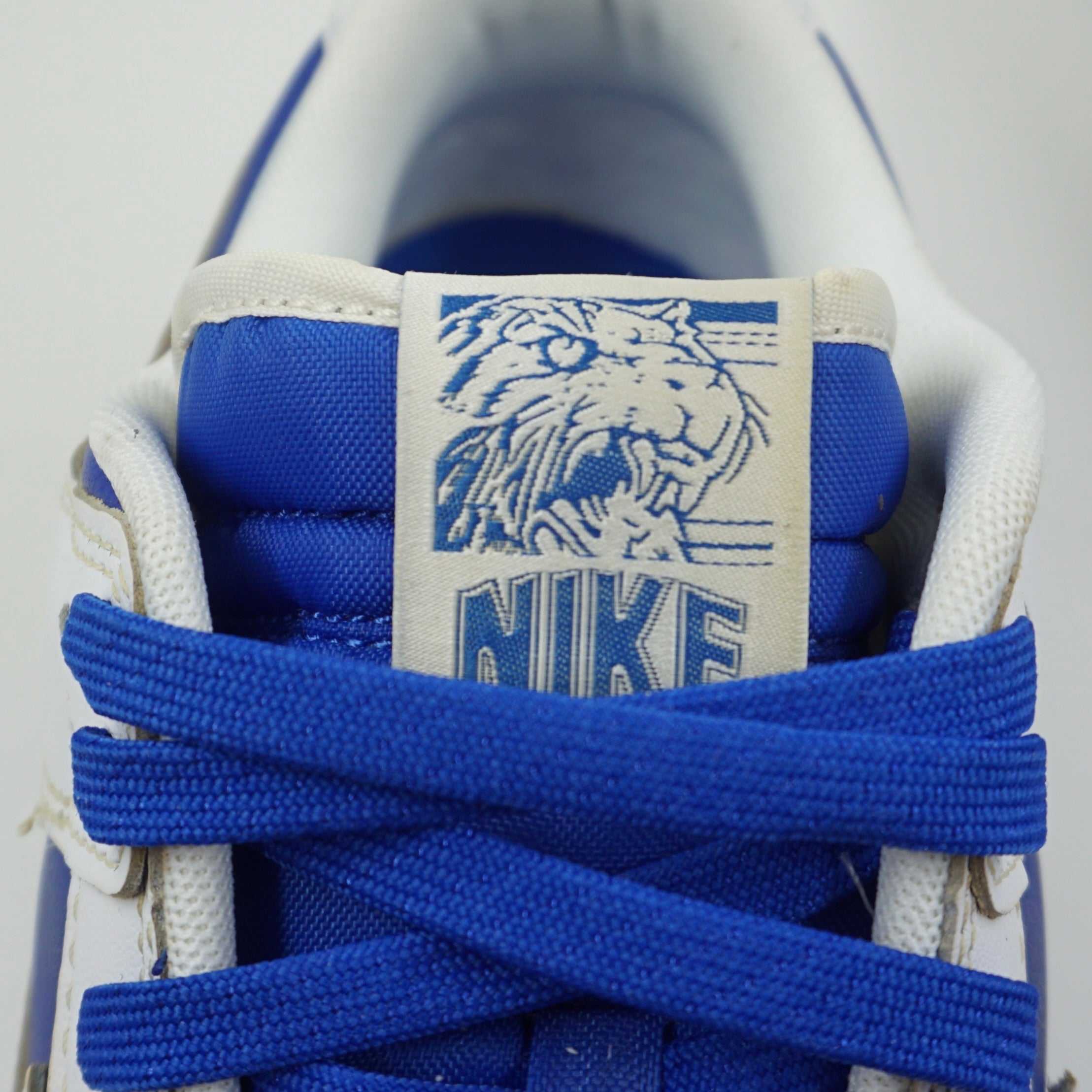 Nike Dunk Low Racer Blue White "CATS" Custom Painted