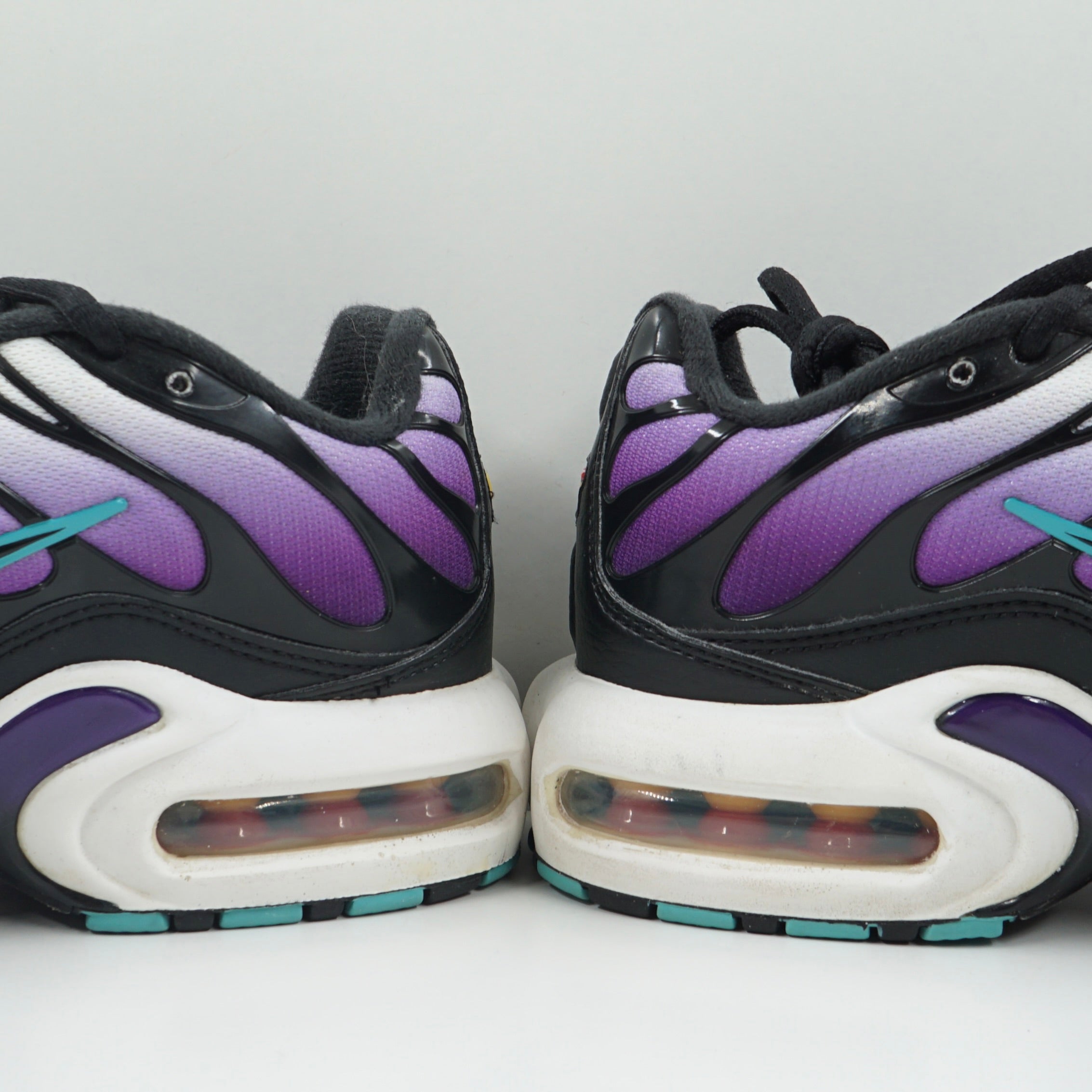 Nike Air Max Plus Reverse Grape (GS)