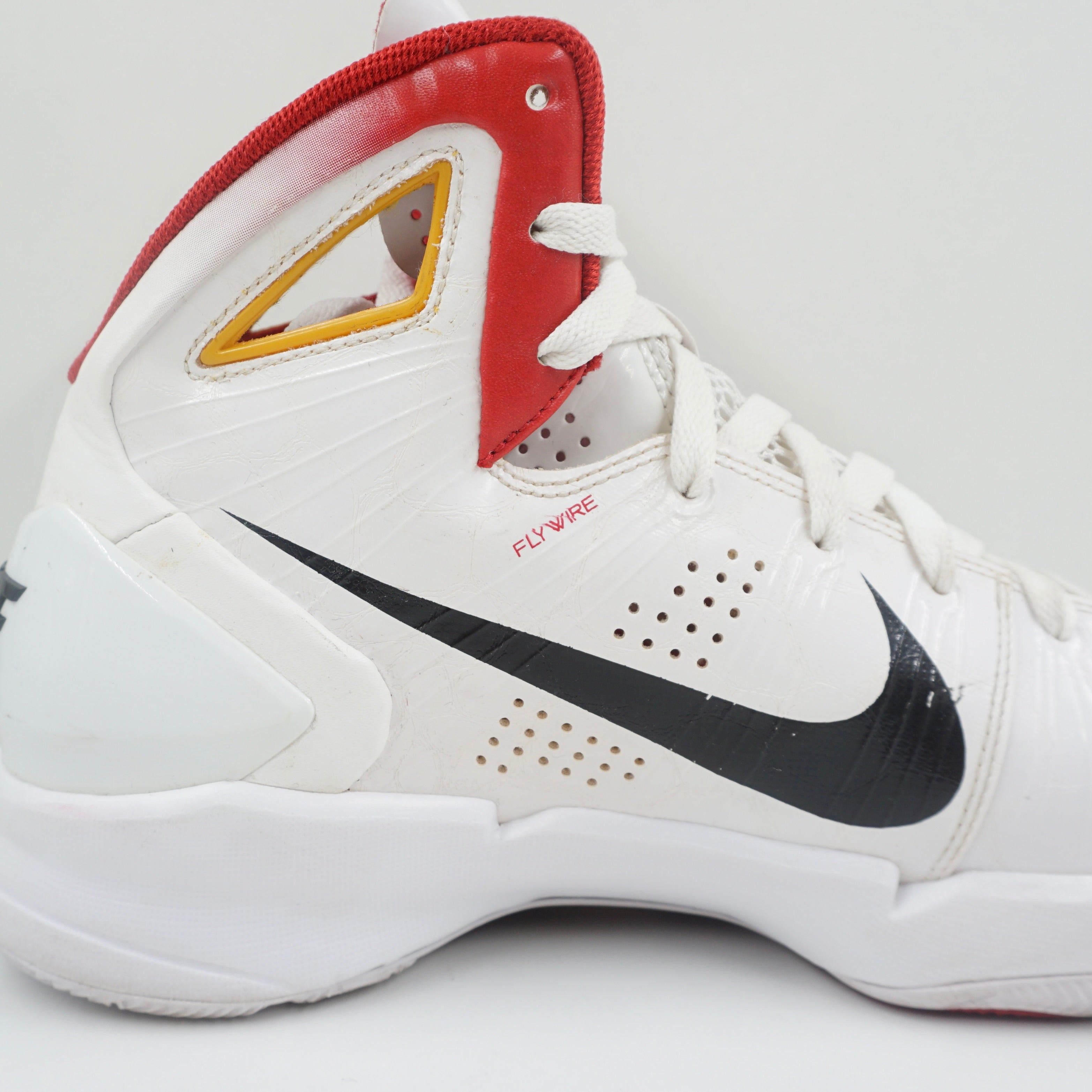 Nike Hyperdunk Dirk Nowitzki Germany PE (2010)
