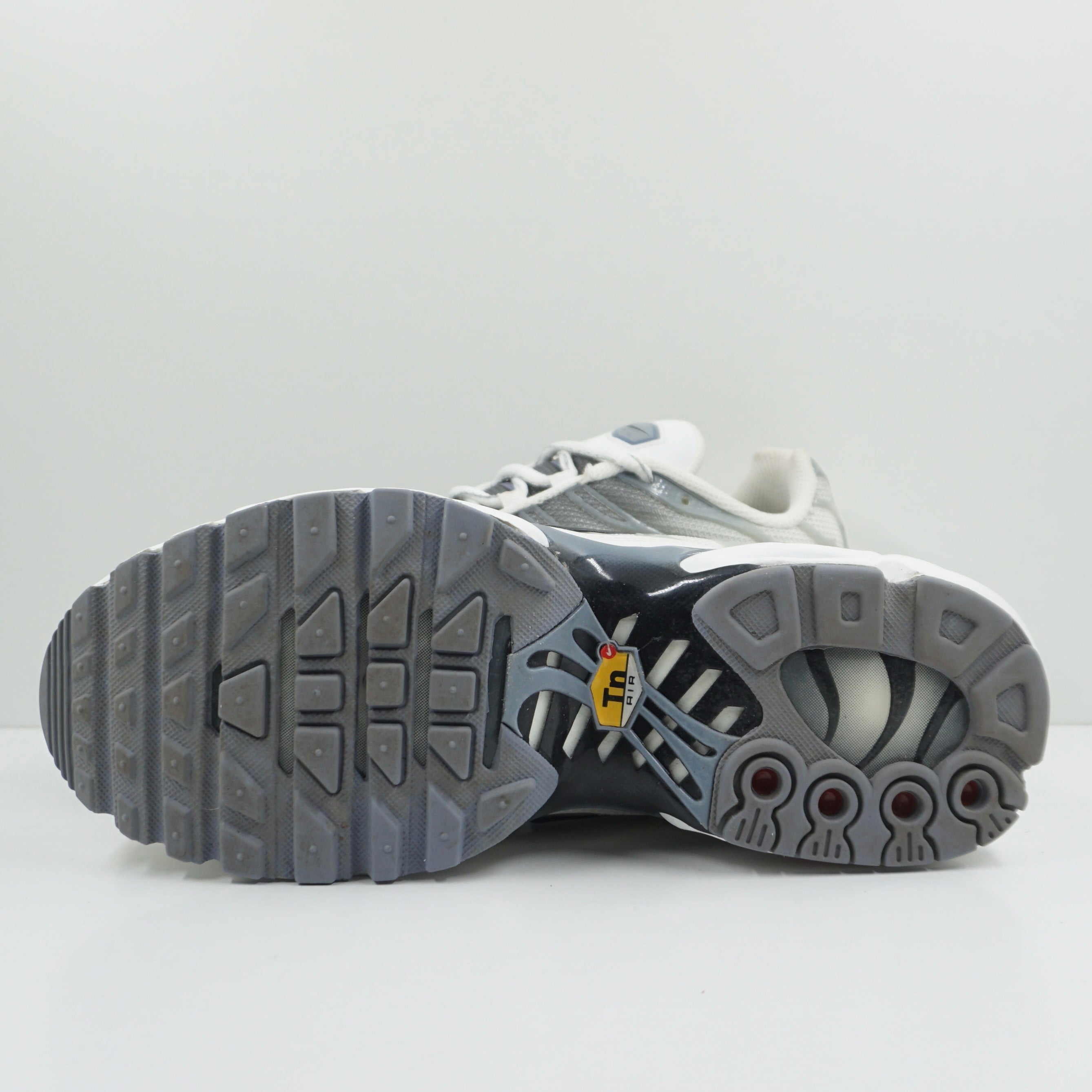 Nike Air Max Plus Smoke Grey Ashen Slate (W)