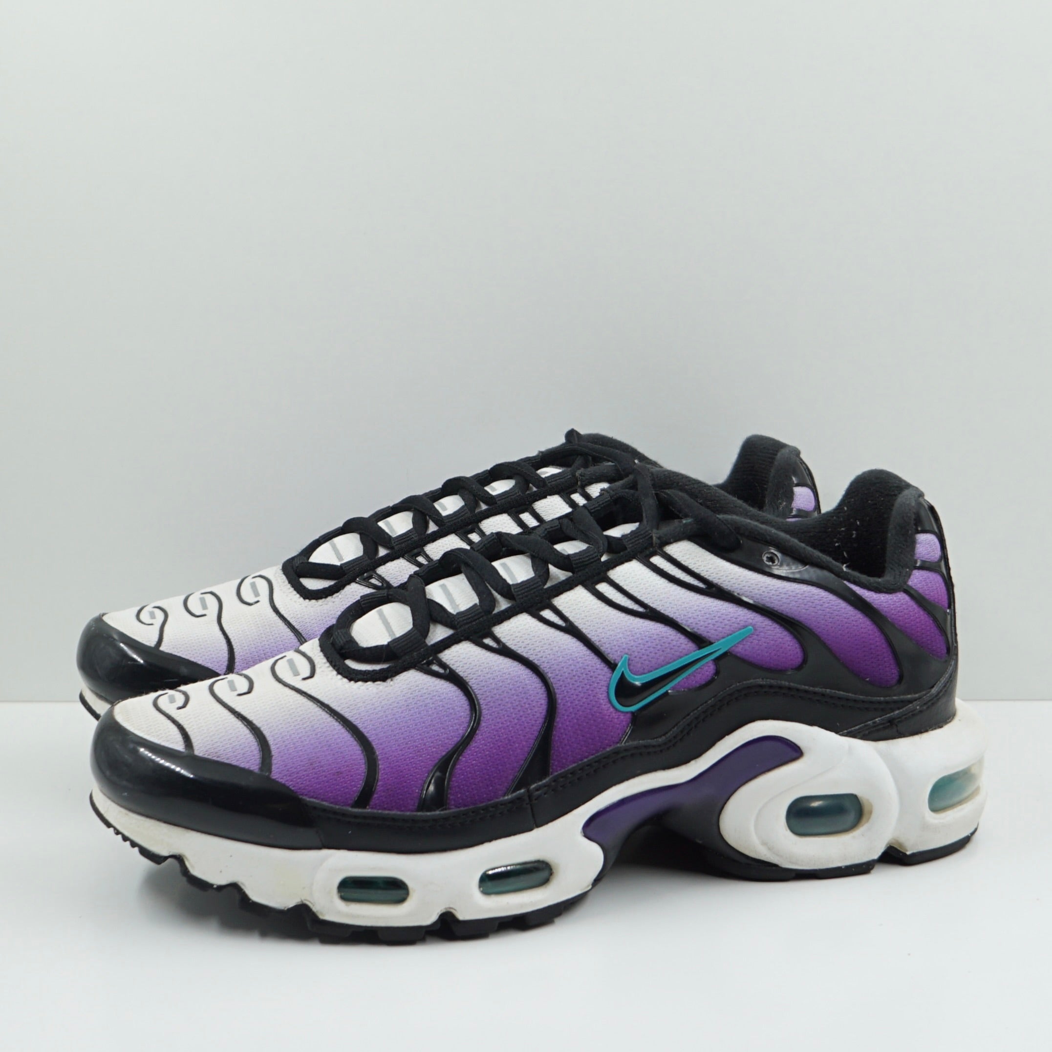 Nike Air Max Plus Reverse Grape (GS)