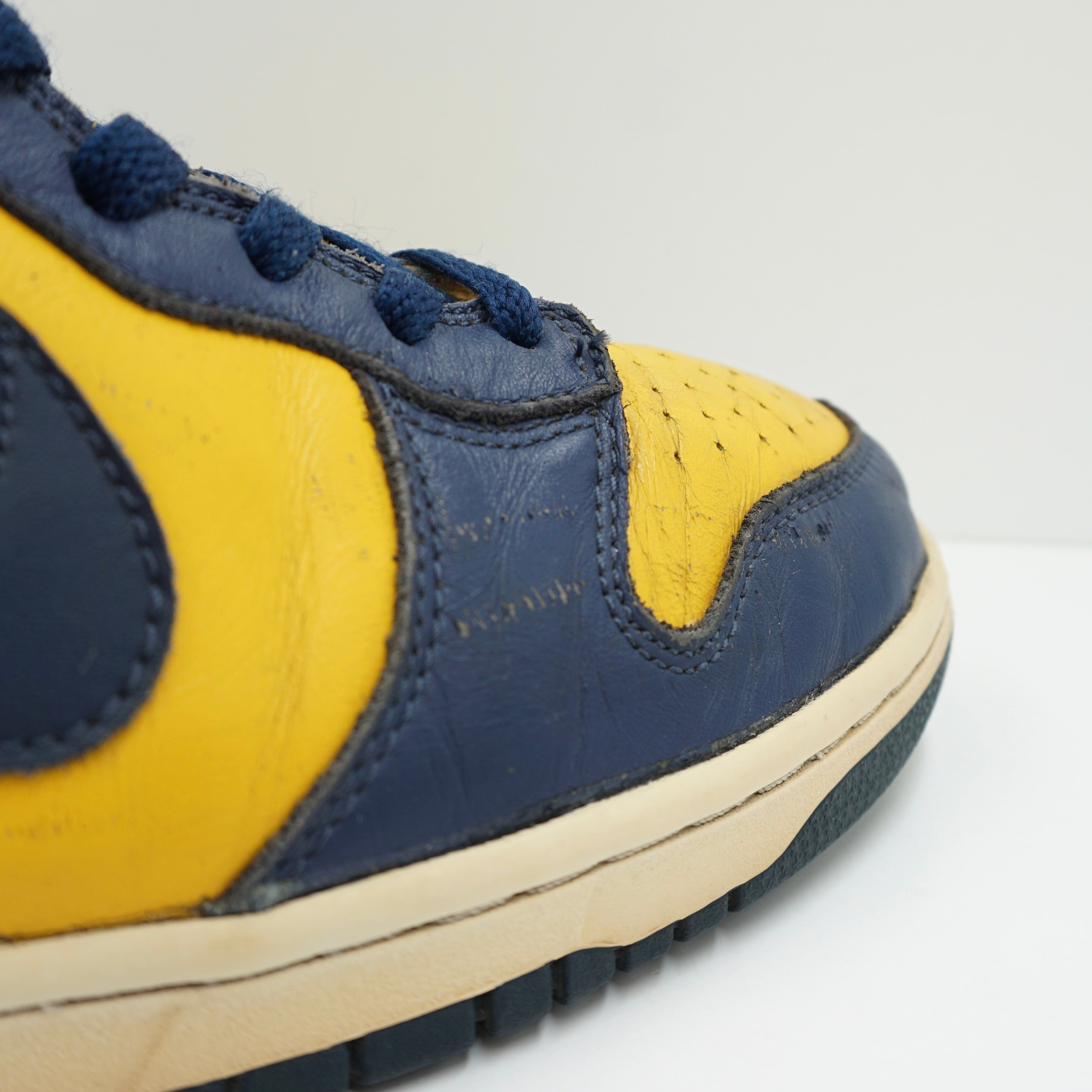 Nike Dunk High Michigan (2003)