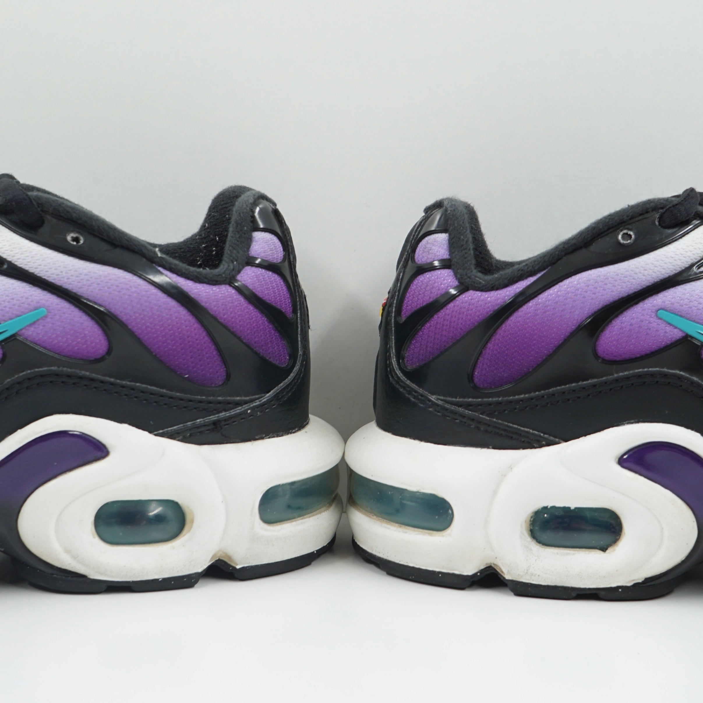 Nike Air Max Plus Reverse Grape (GS)