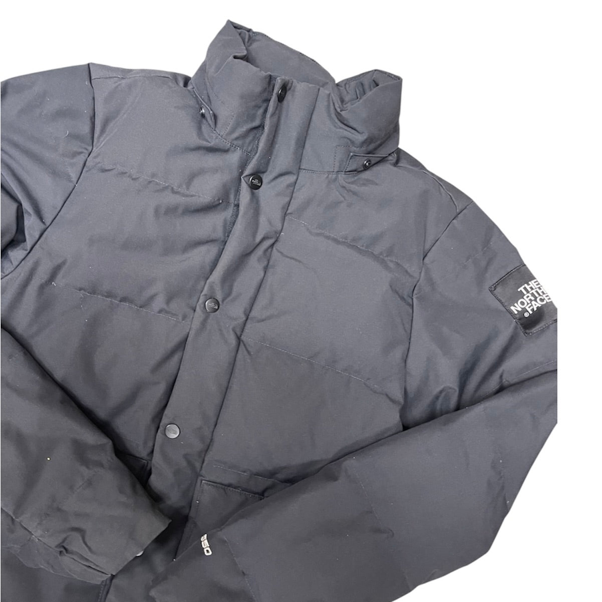 The North Face 550 Black Label Down Jacket