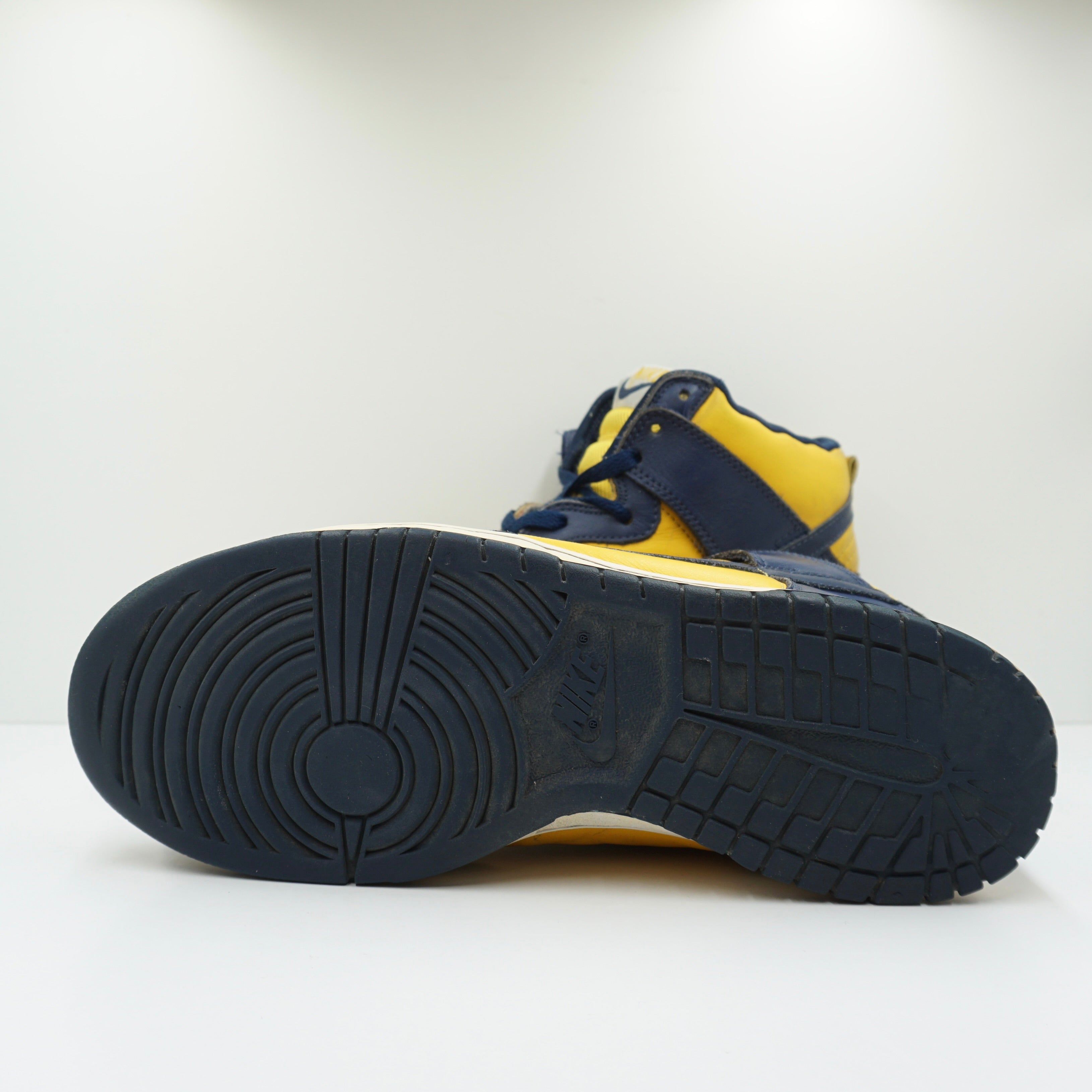Nike Dunk High Michigan (2003)