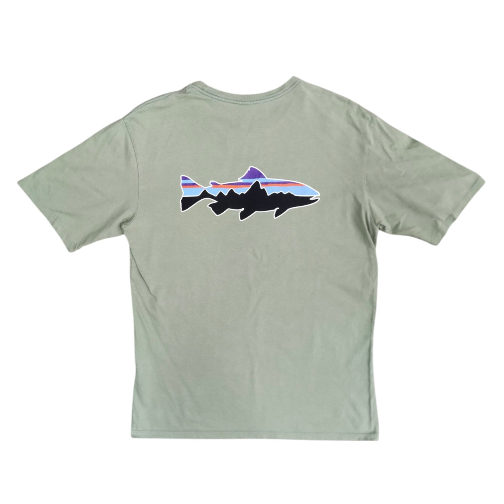 Patagonia Fitz Roy Green Tshirt