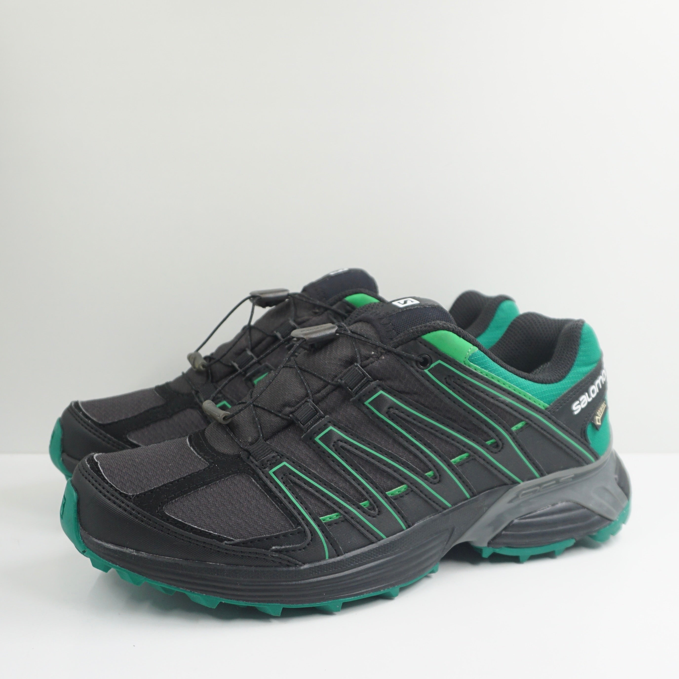 Salomon XT Asama GTX Phantom Fern Green