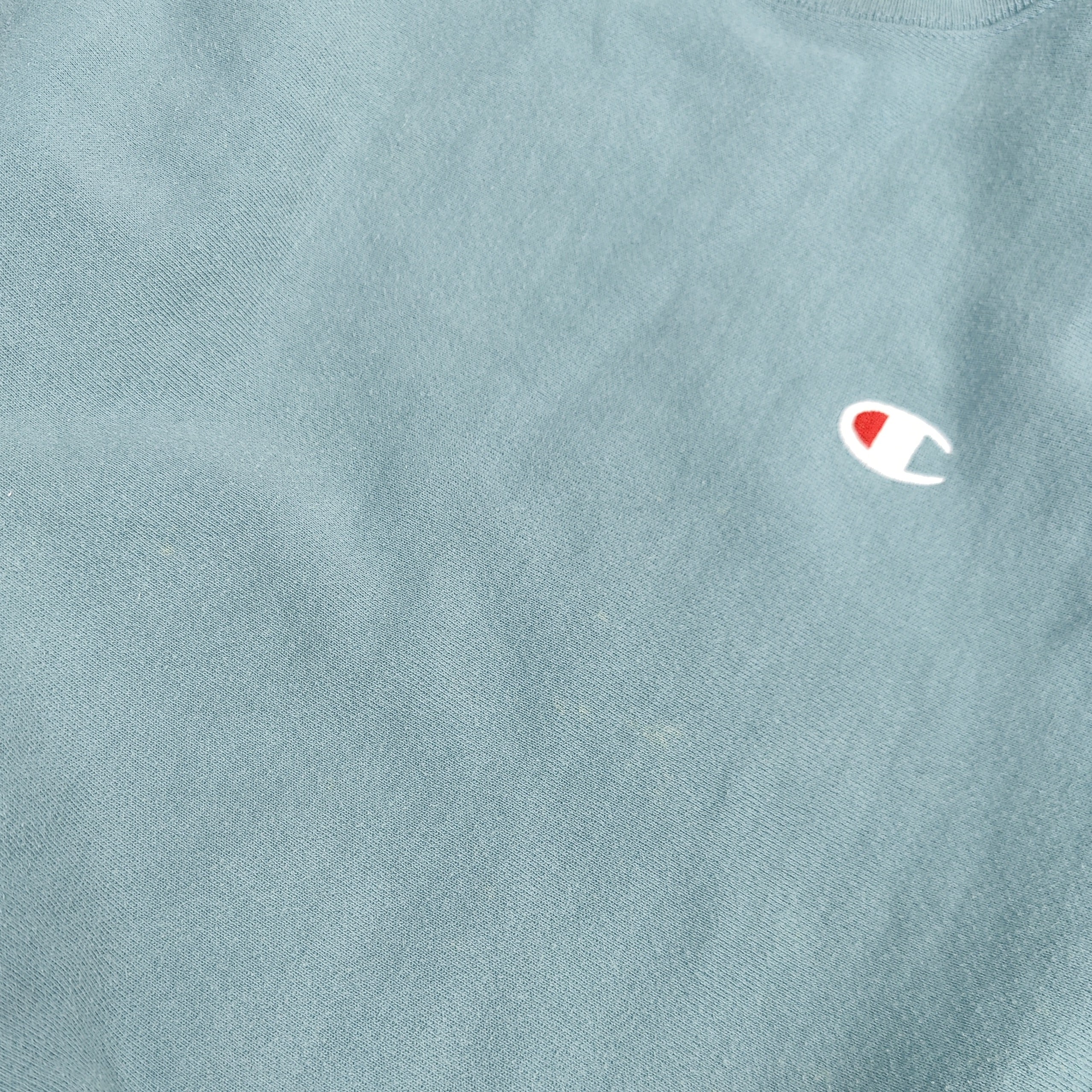 Champion Reverse Weave Blue Green Crewneck