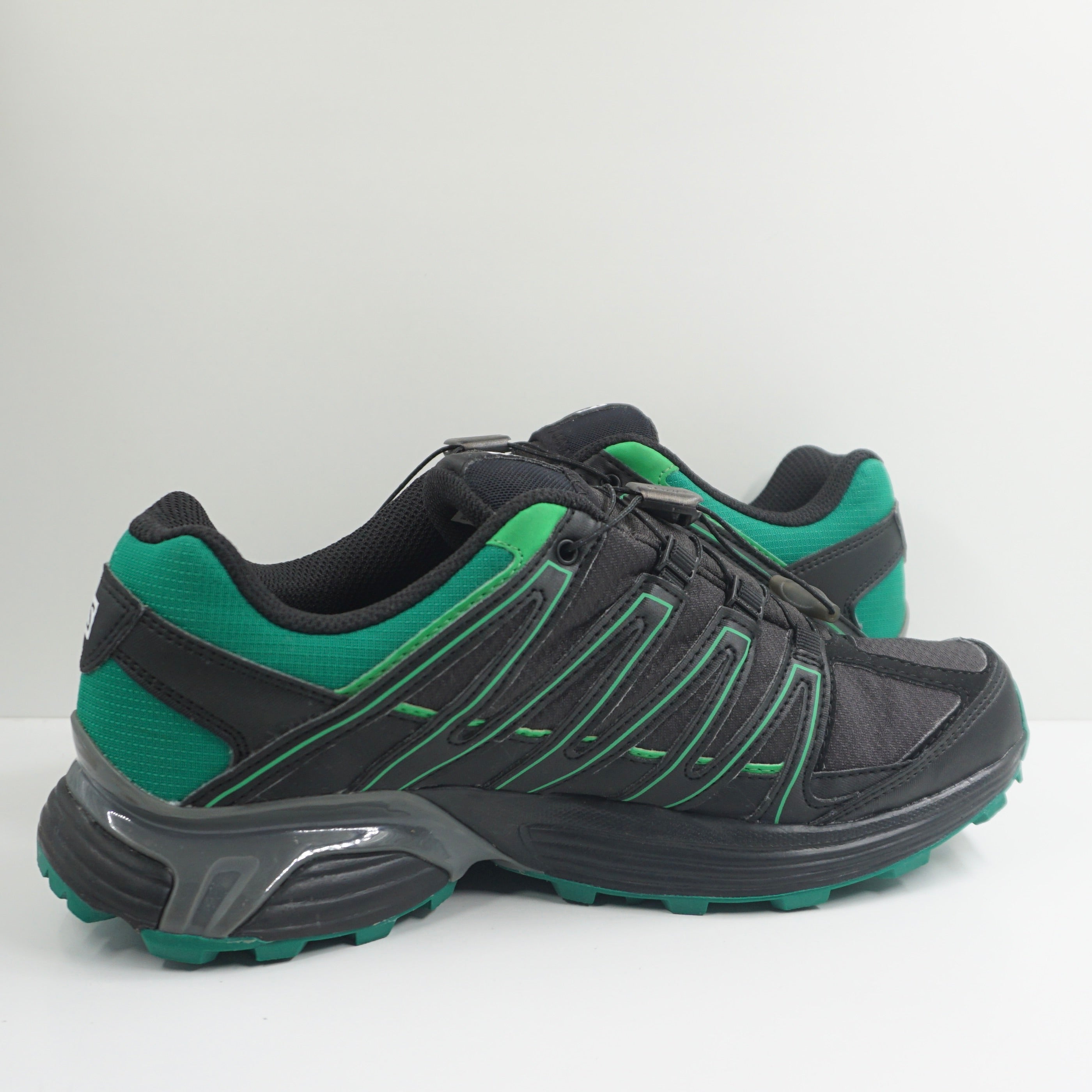 Salomon XT Asama GTX Phantom Fern Green