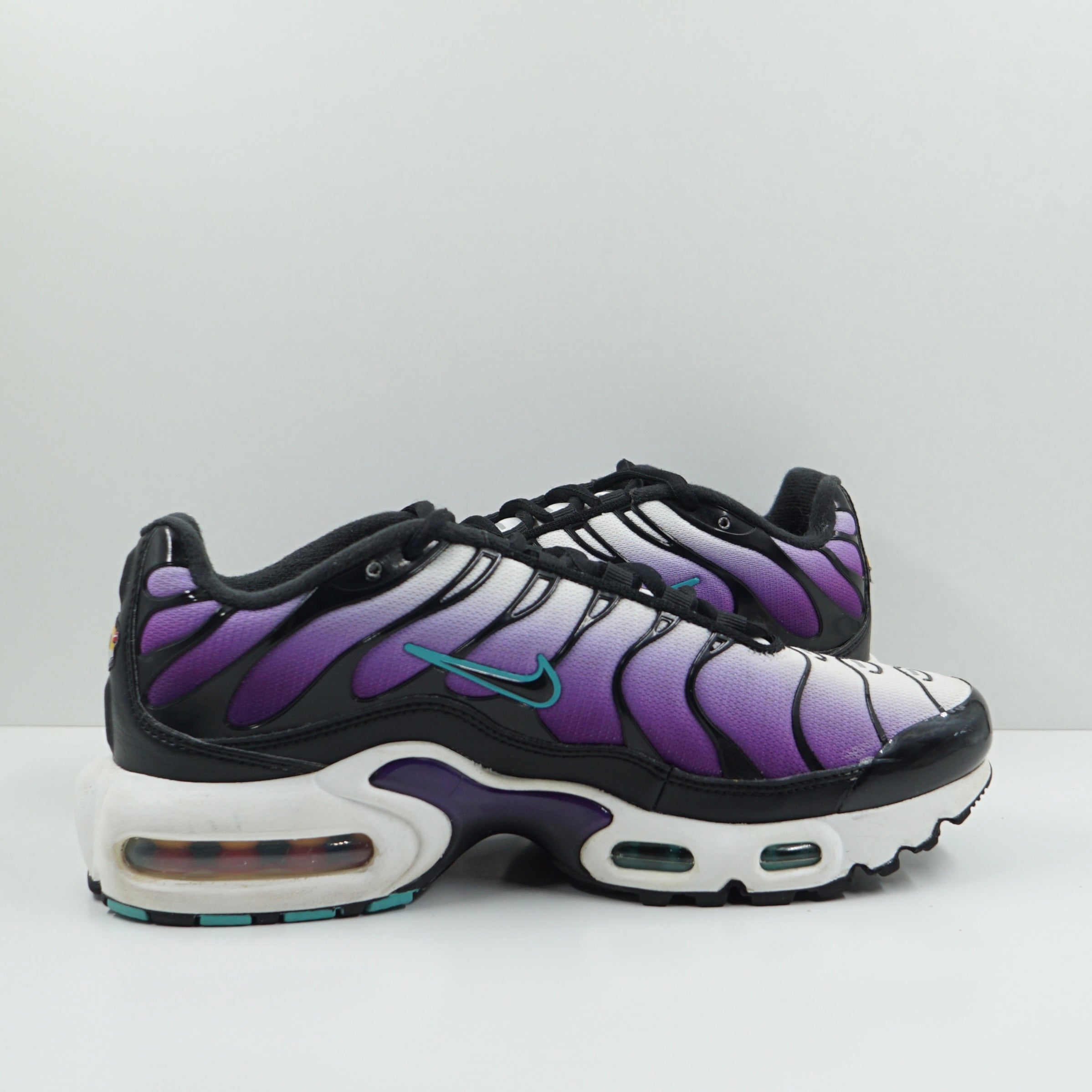 Nike Air Max Plus Reverse Grape (GS)