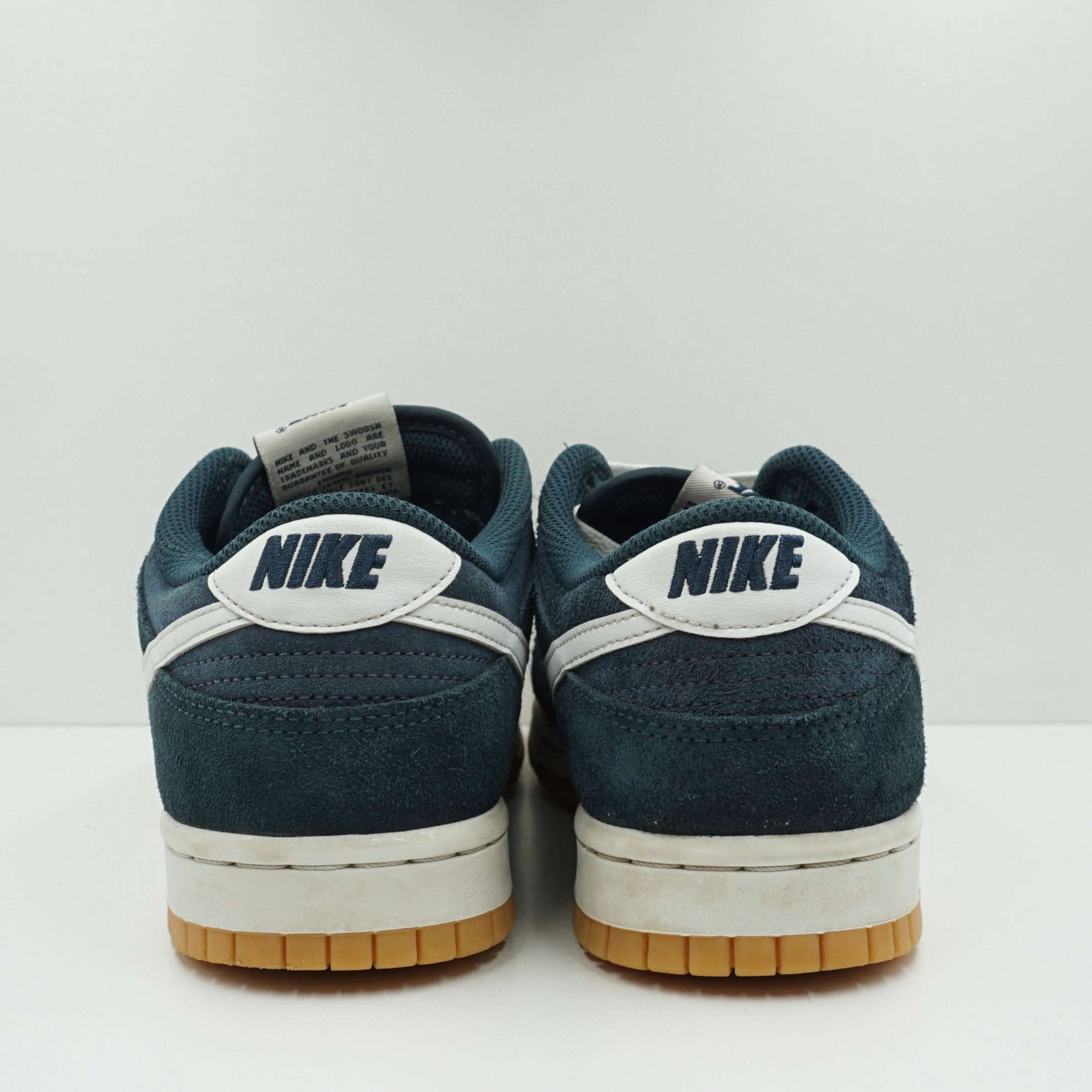 Nike Dunk Low SE Monsoon Blue